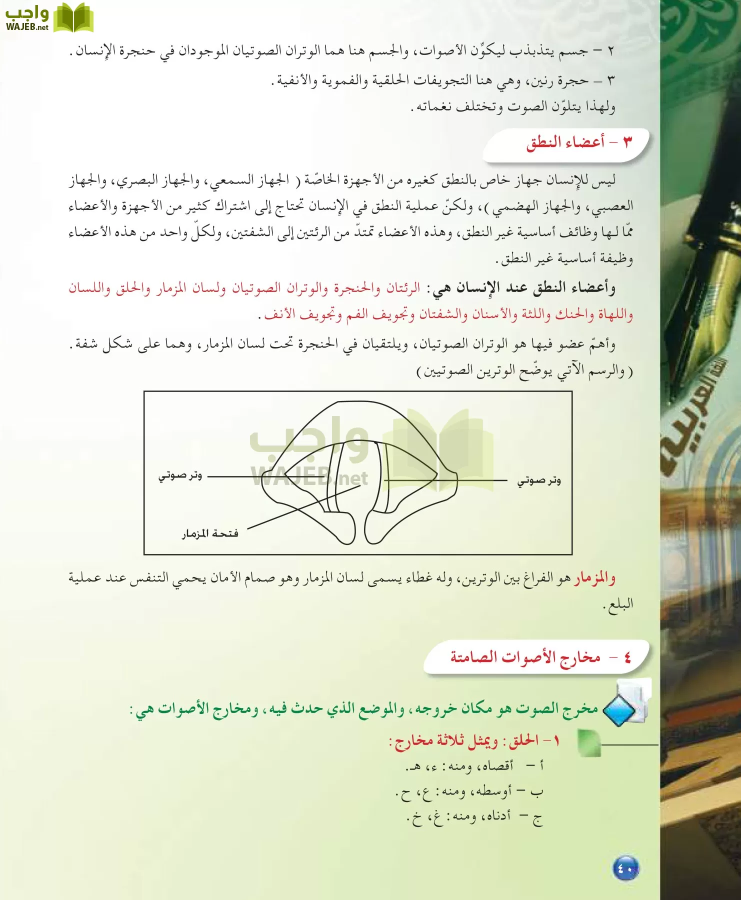 اللغة العربية 7 مقررات الدراسات اللغوية page-40