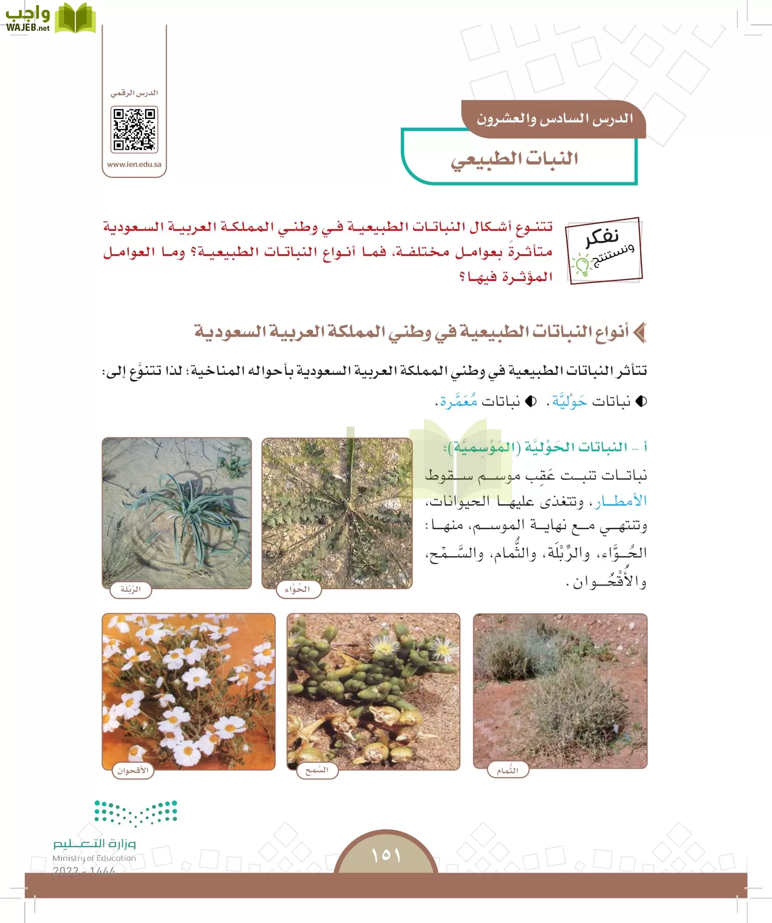 الدراسات الاجتماعية page-146