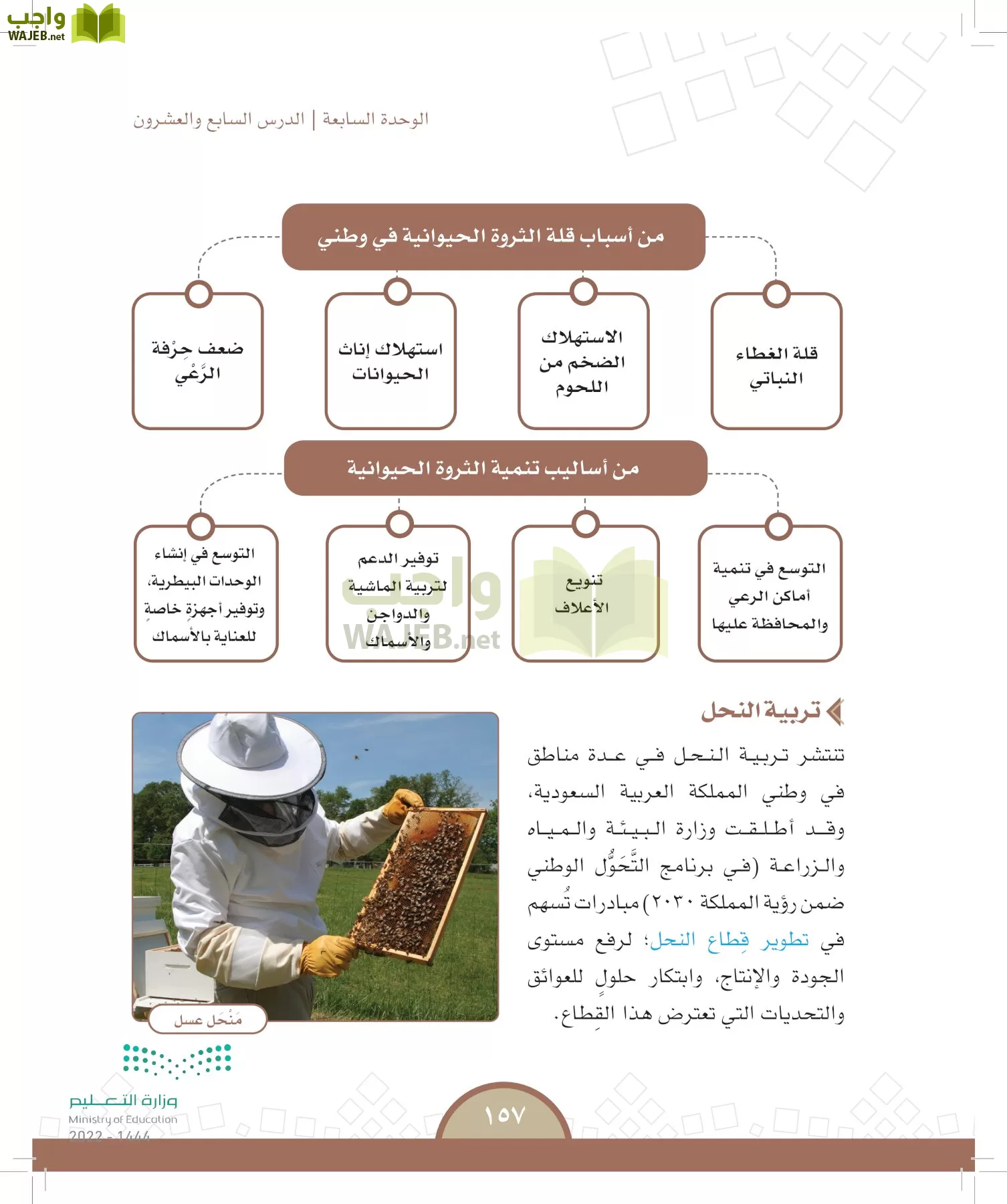 الدراسات الاجتماعية page-152
