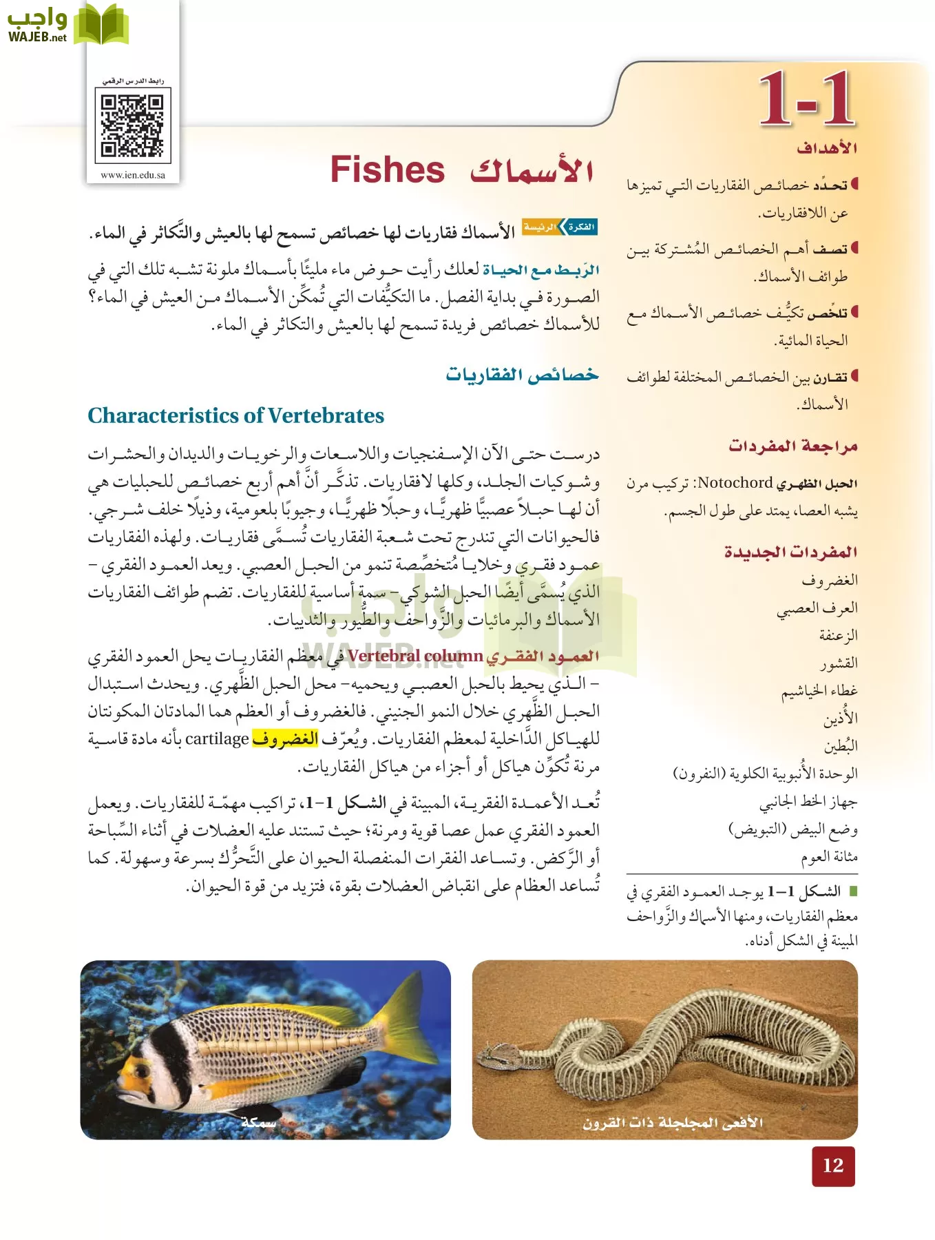أحياء 2 مقررات page-11
