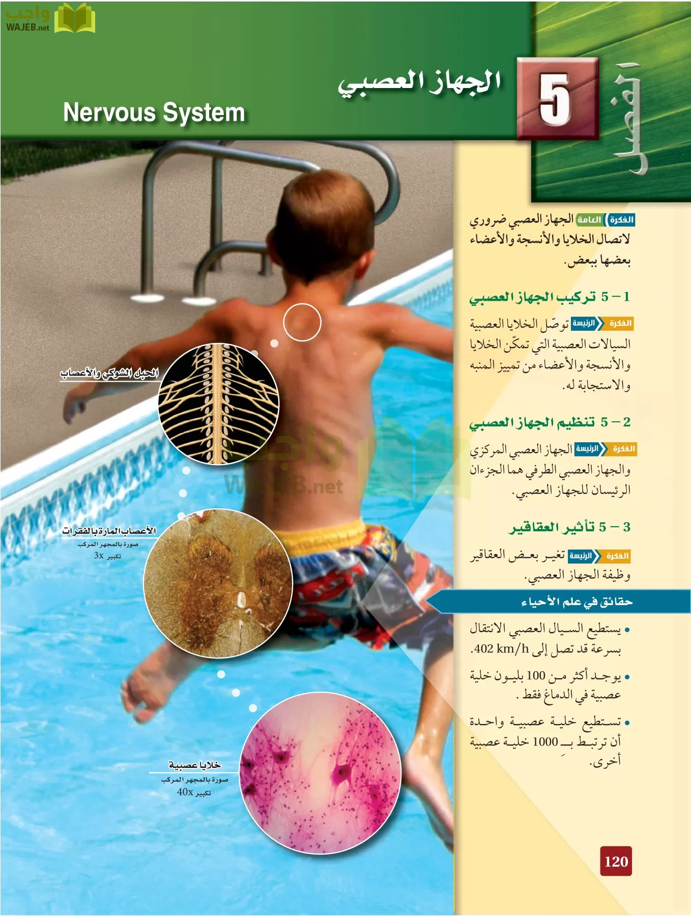 أحياء 2 مقررات page-119