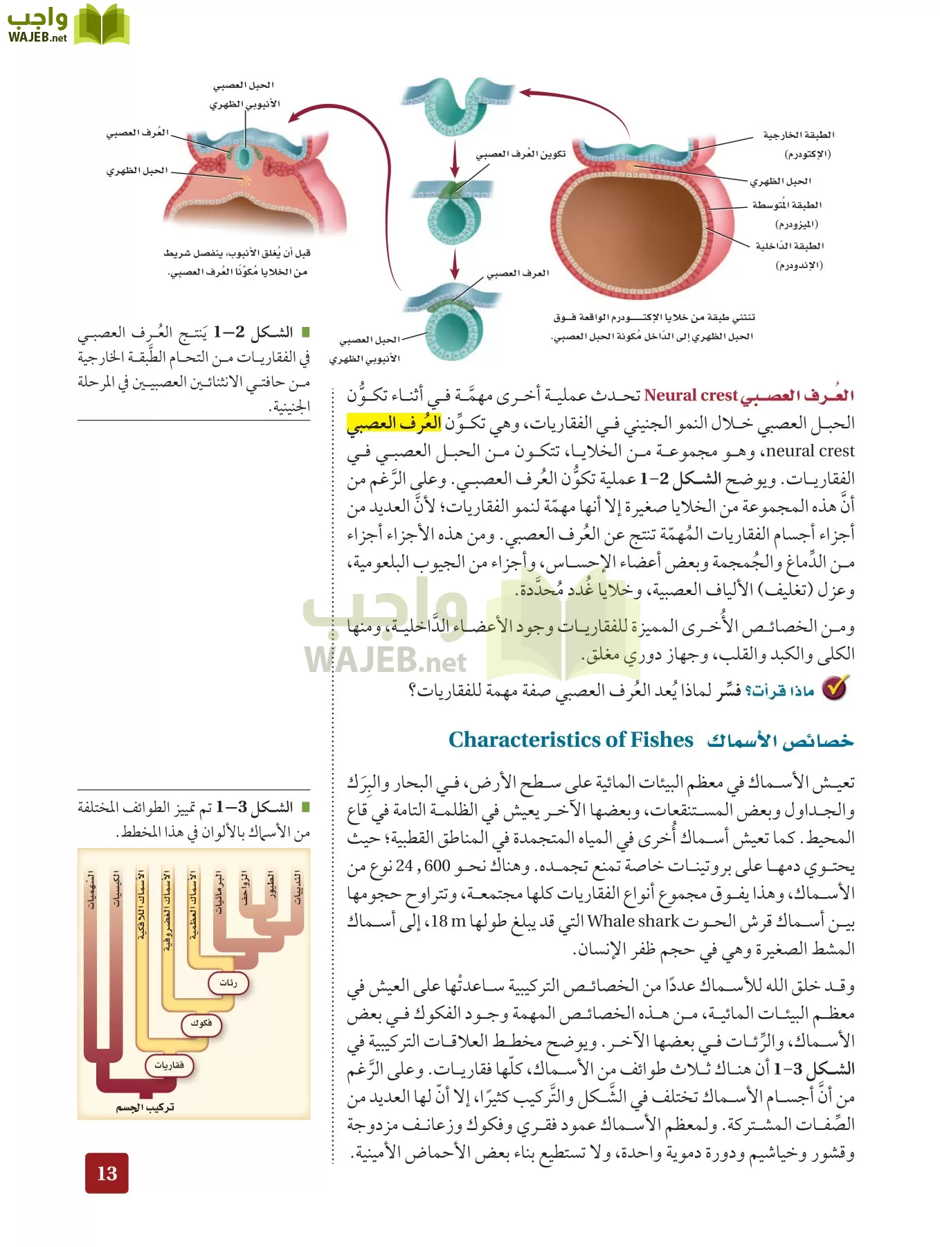 أحياء 2 مقررات page-12