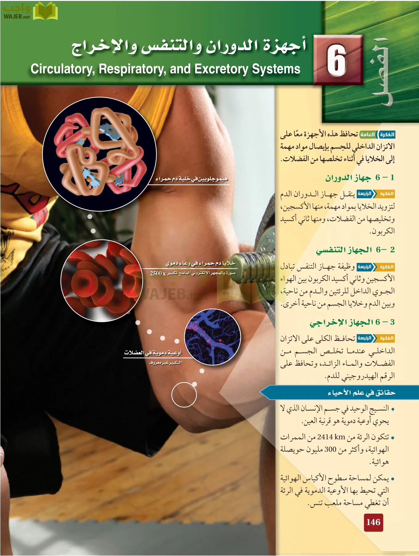 أحياء 2 مقررات page-145