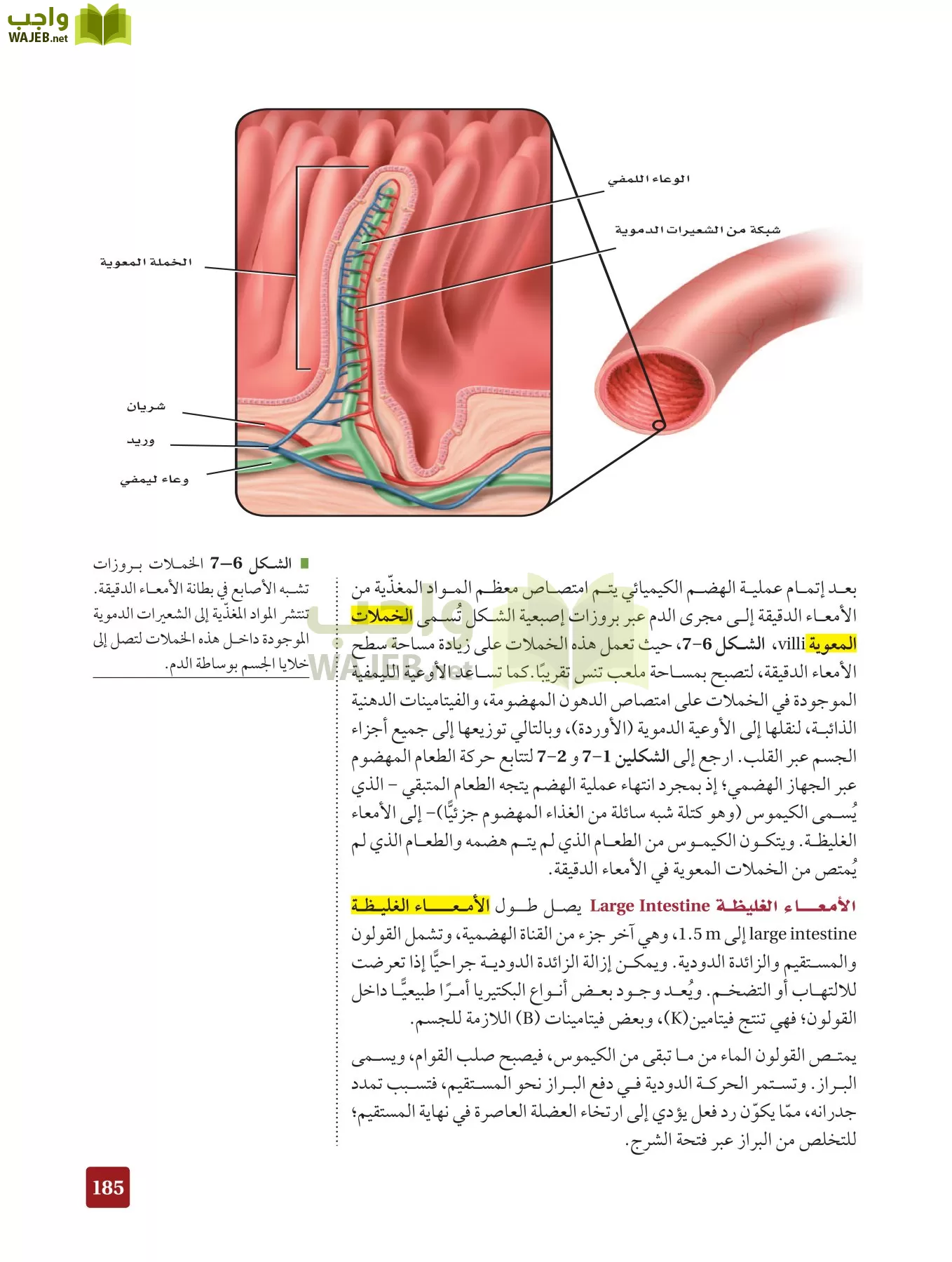 أحياء 2 مقررات page-184