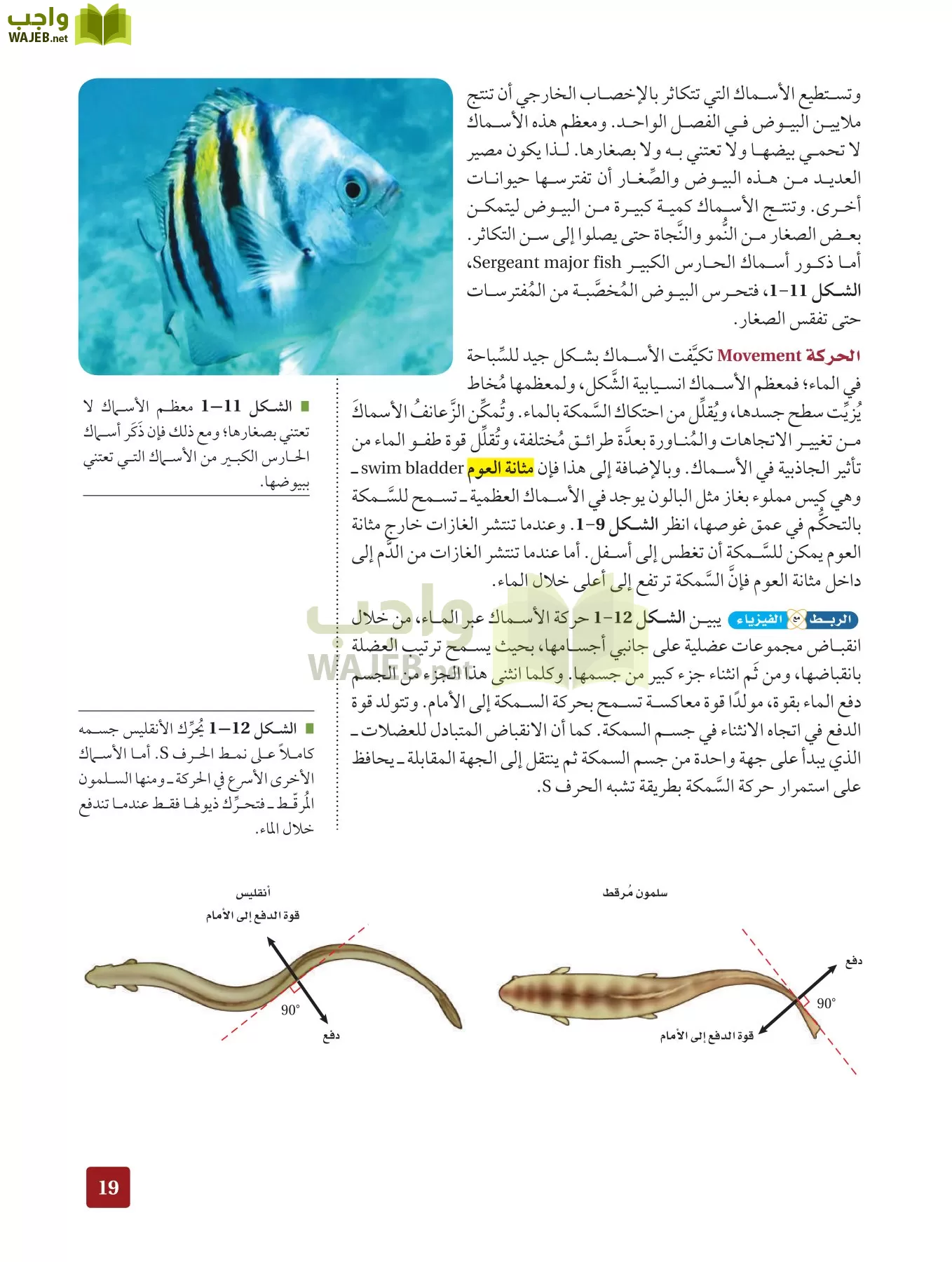 أحياء 2 مقررات page-18