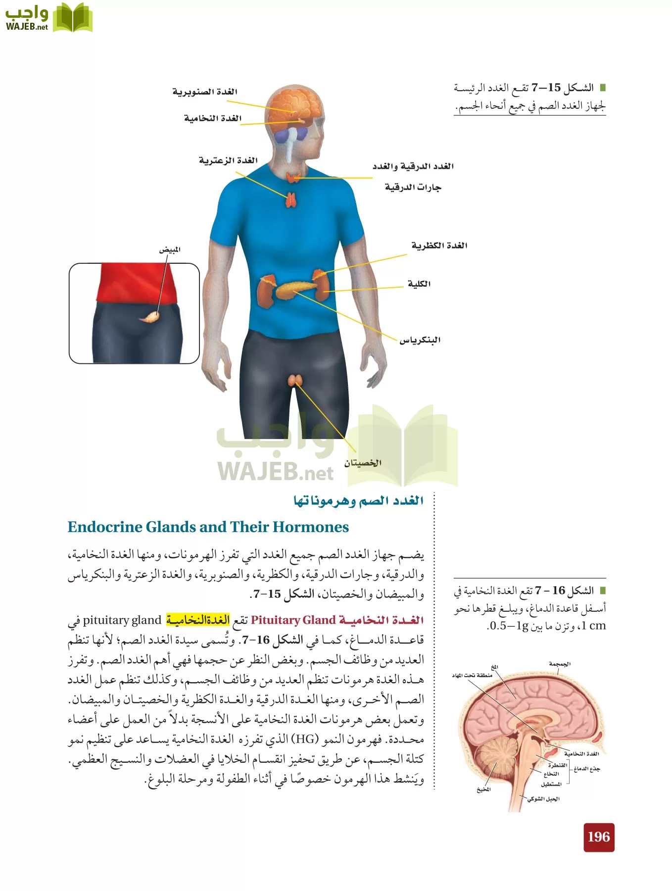 أحياء 2 مقررات page-195