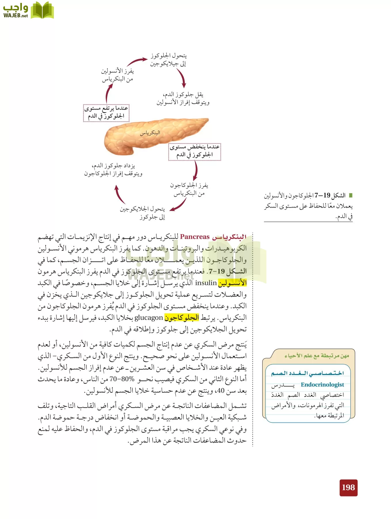 أحياء 2 مقررات page-197