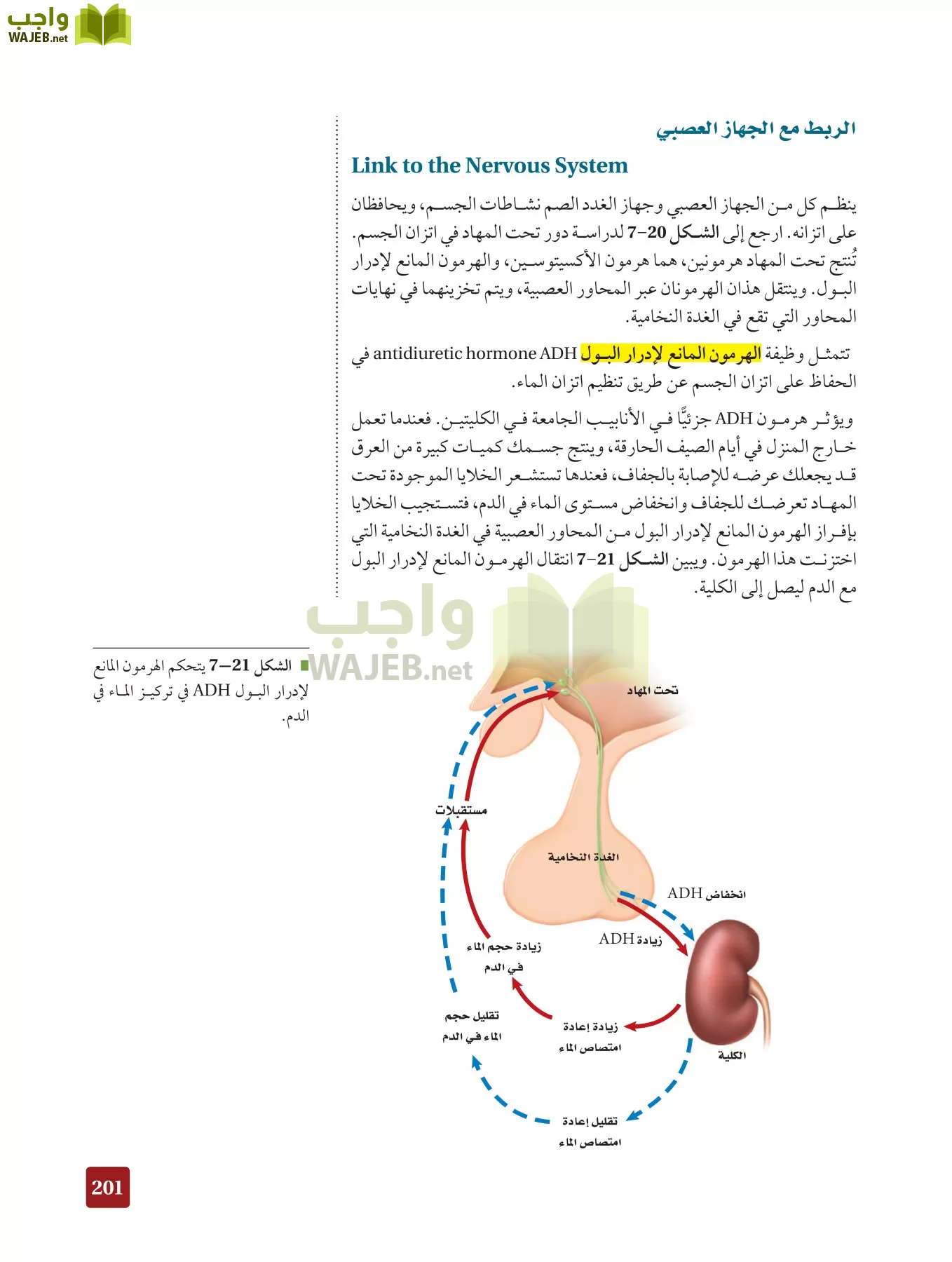 أحياء 2 مقررات page-200