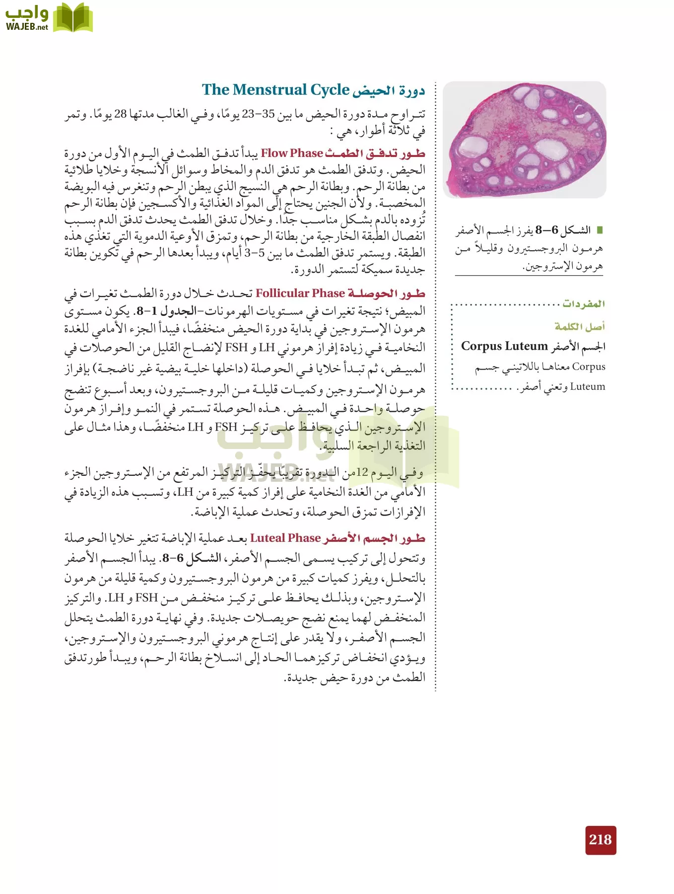 أحياء 2 مقررات page-217