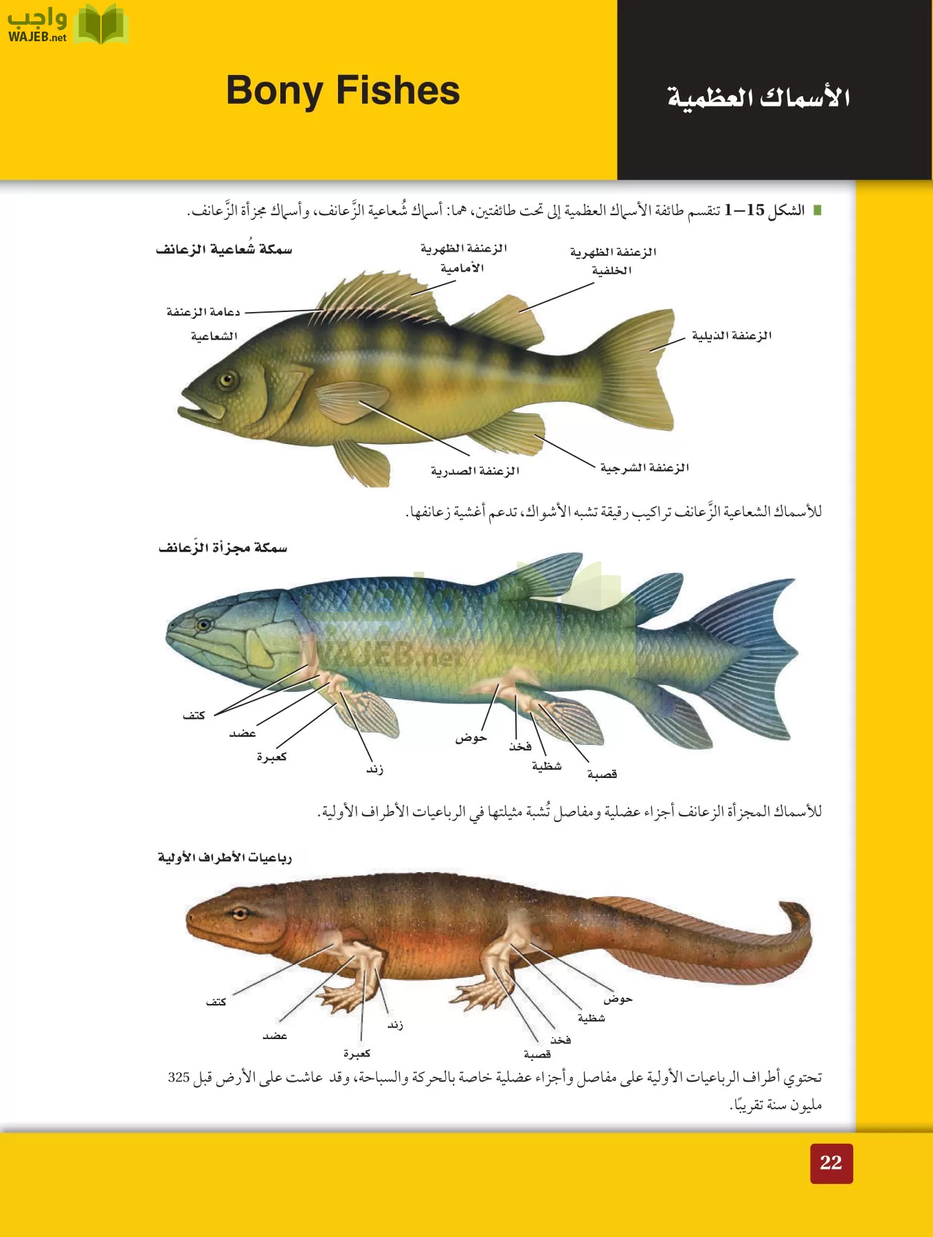 أحياء 2 مقررات page-21