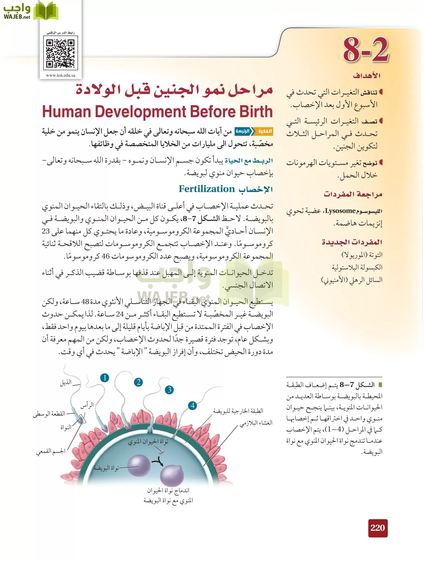 أحياء 2 مقررات page-219