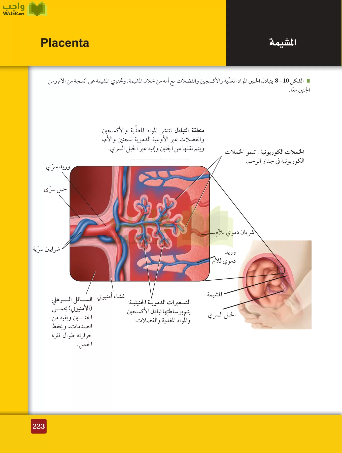 أحياء 2 مقررات page-222
