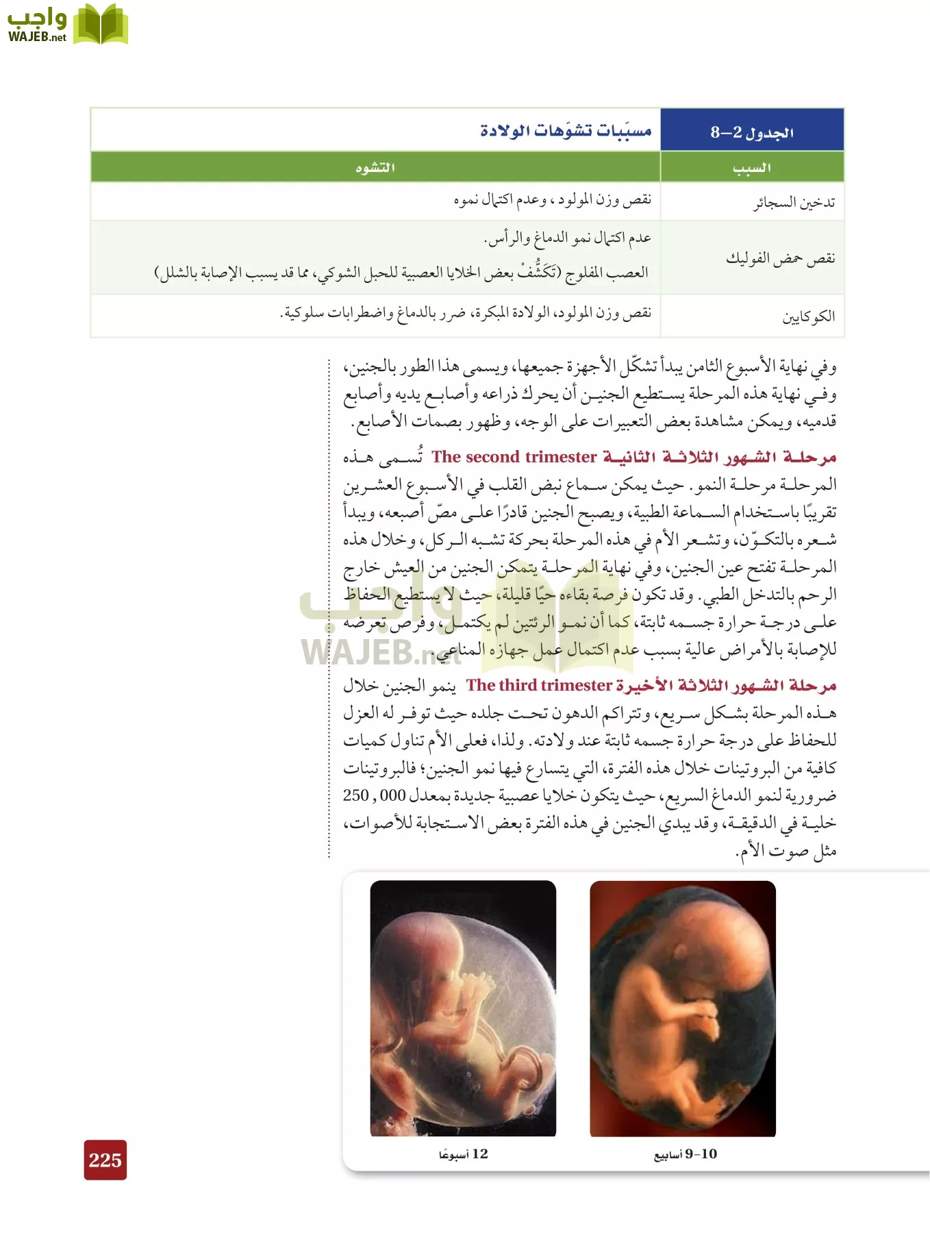 أحياء 2 مقررات page-224