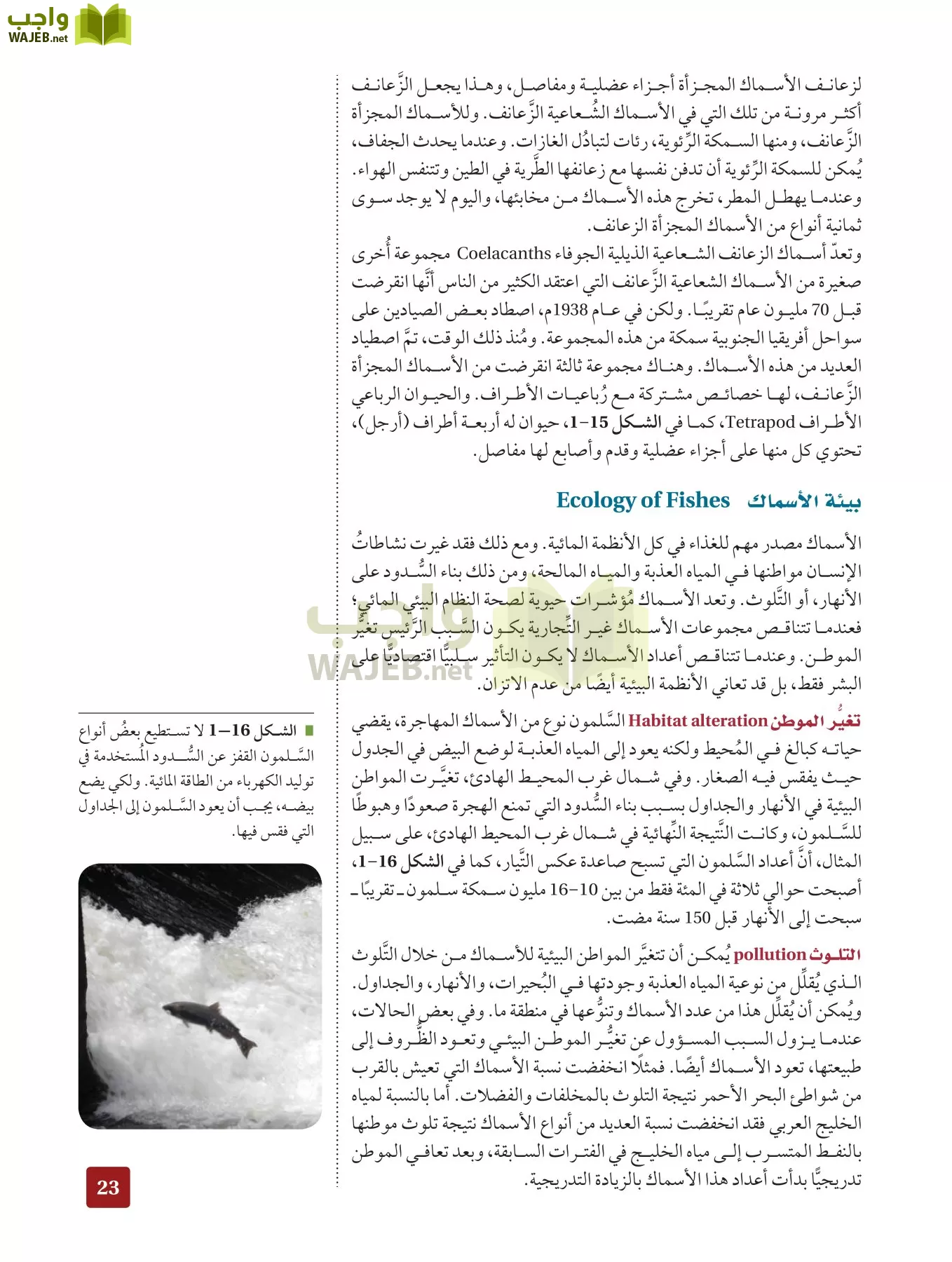 أحياء 2 مقررات page-22