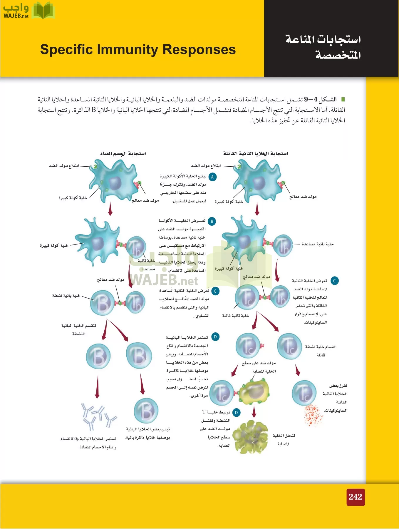 أحياء 2 مقررات page-241