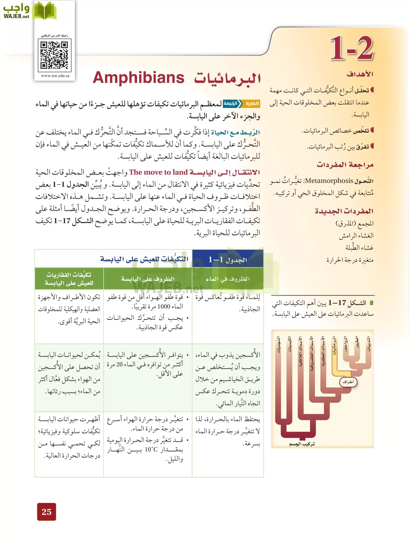 أحياء 2 مقررات page-24