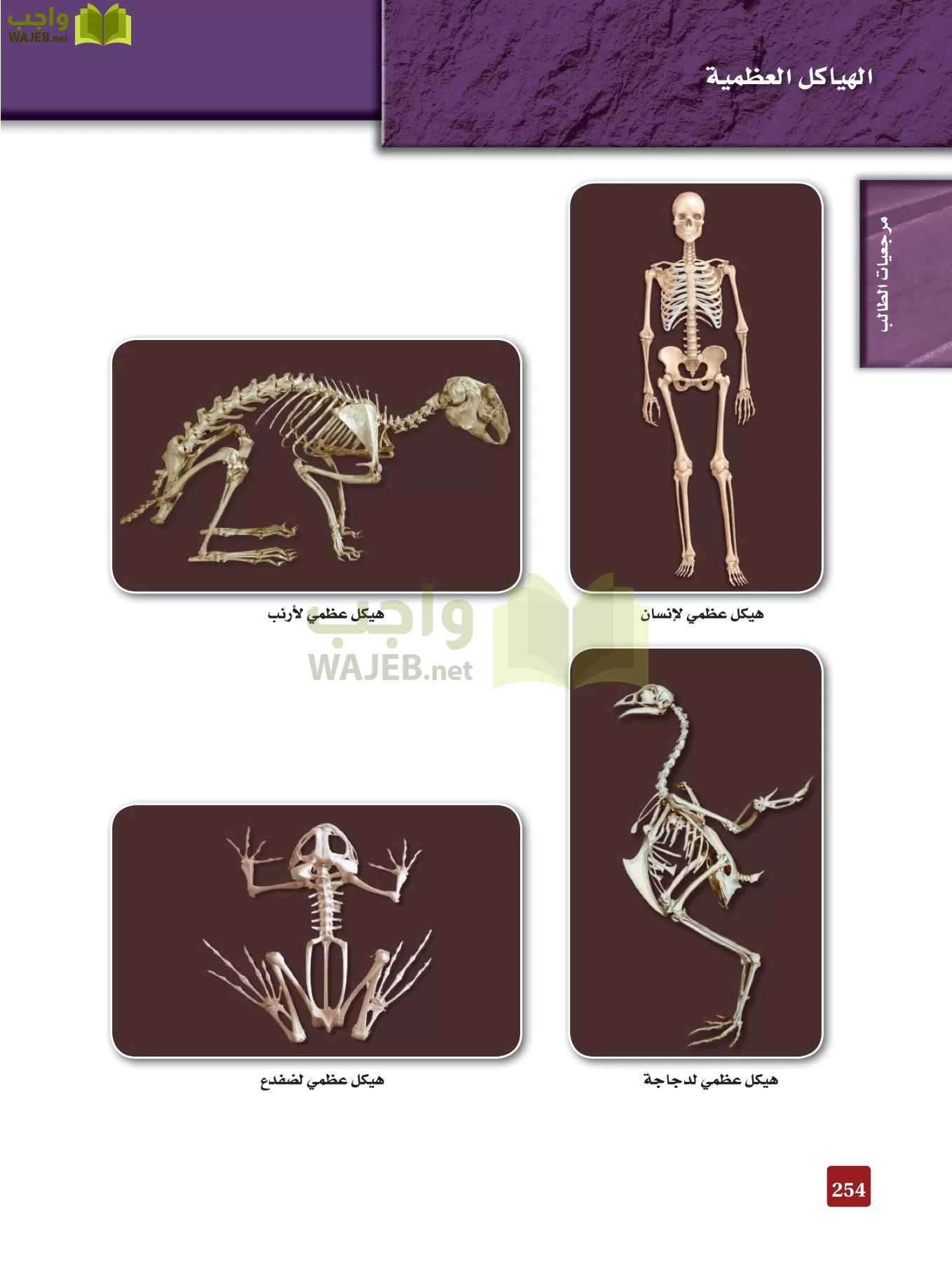 أحياء 2 مقررات page-253