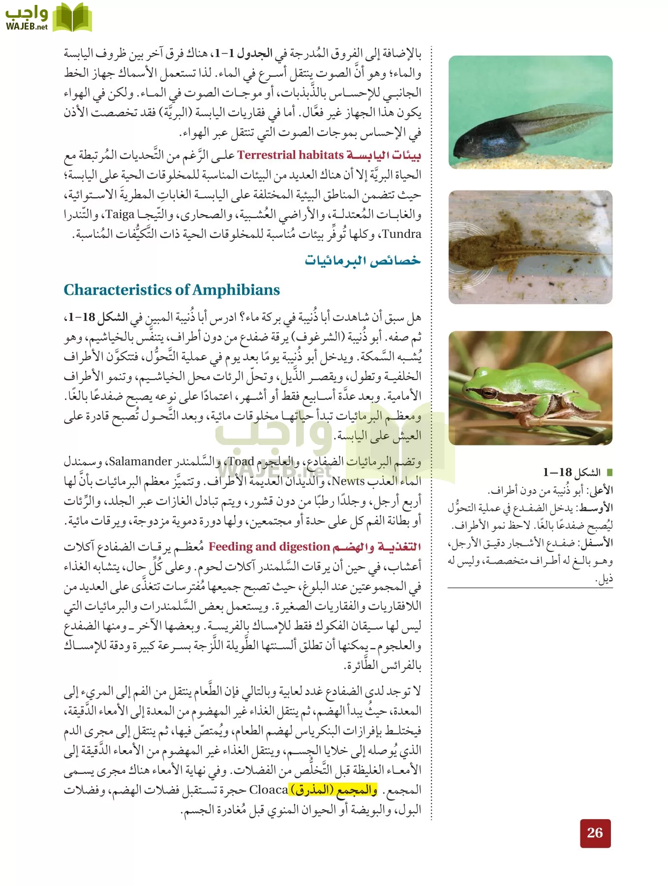 أحياء 2 مقررات page-25