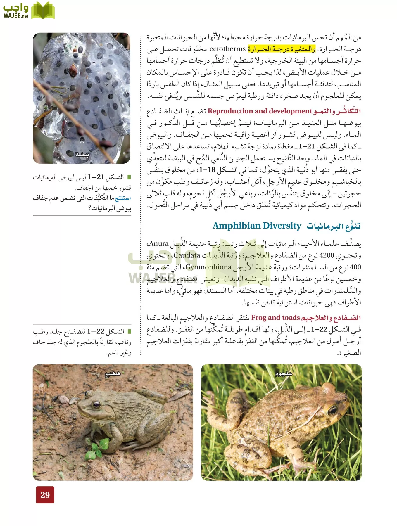 أحياء 2 مقررات page-28