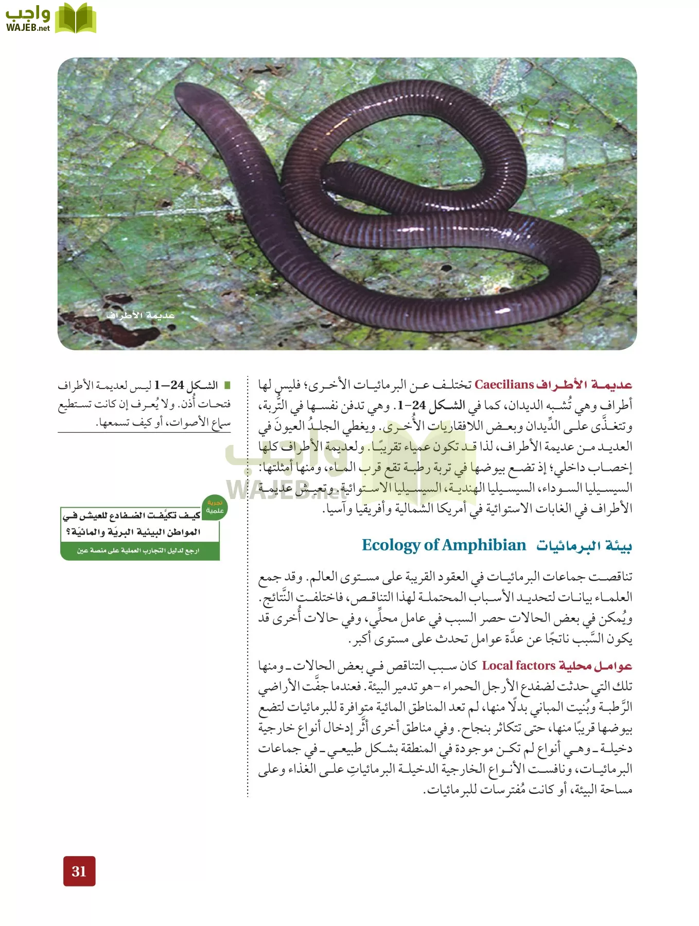 أحياء 2 مقررات page-30