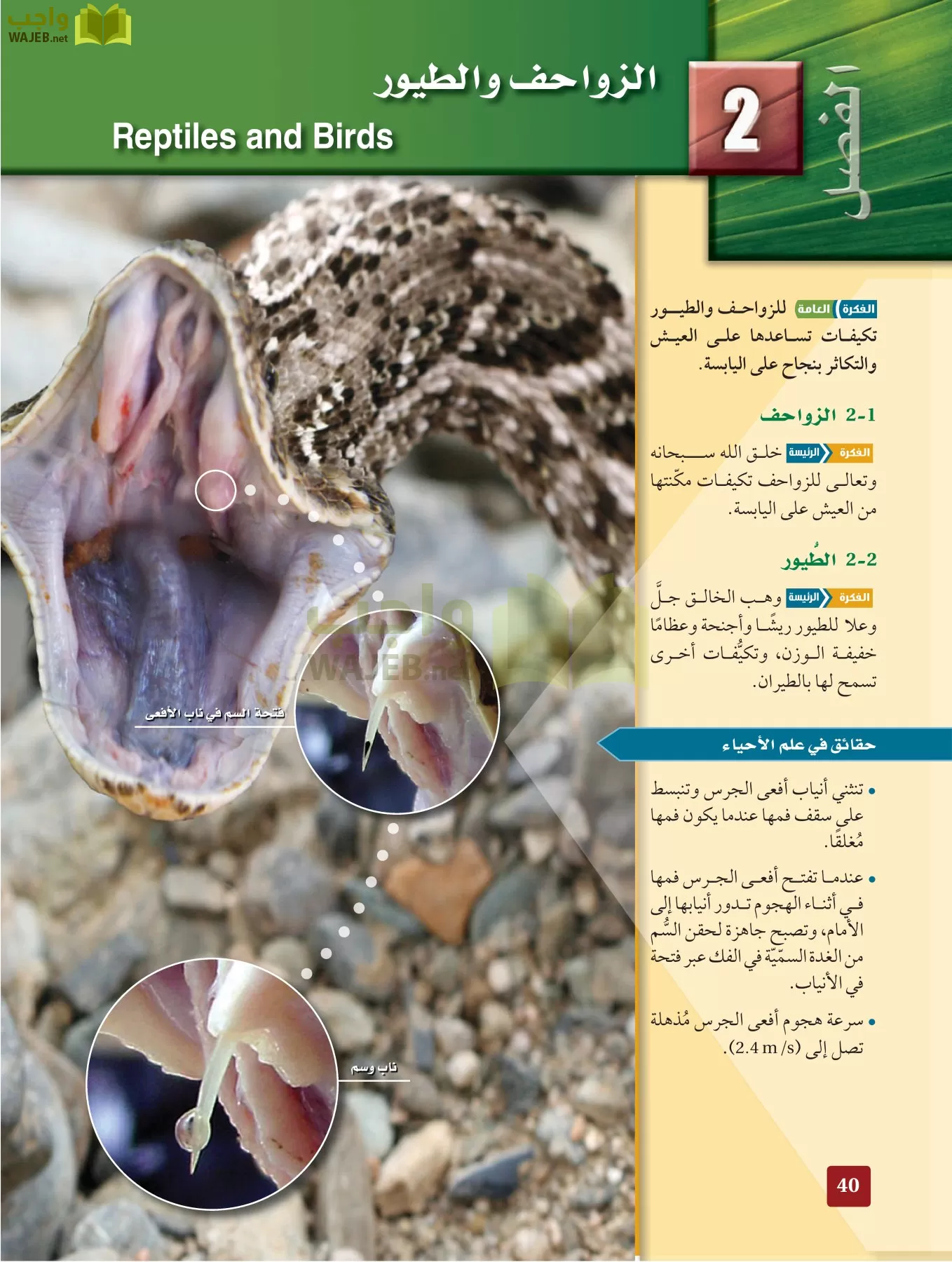 أحياء 2 مقررات page-39