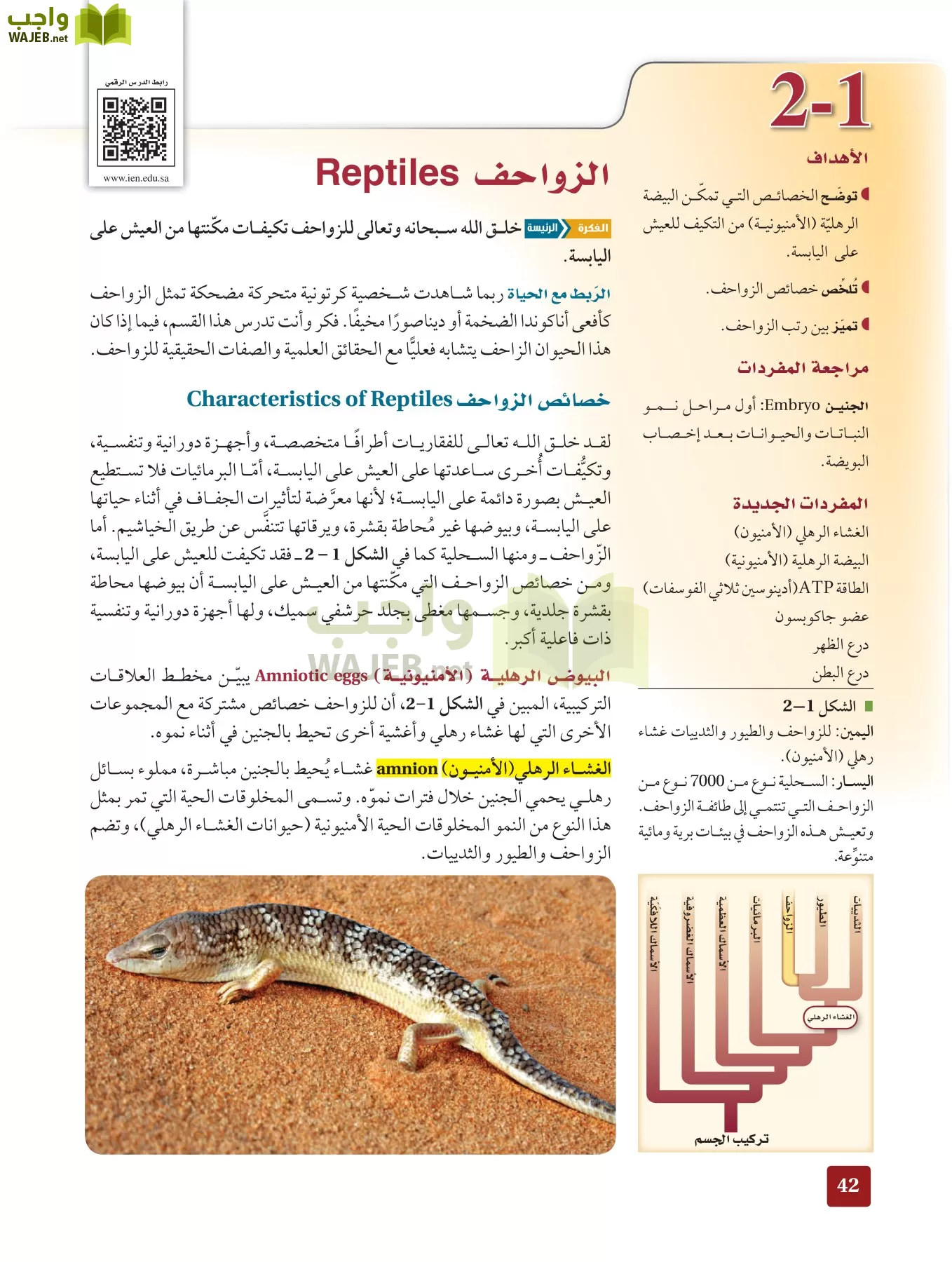 أحياء 2 مقررات page-41