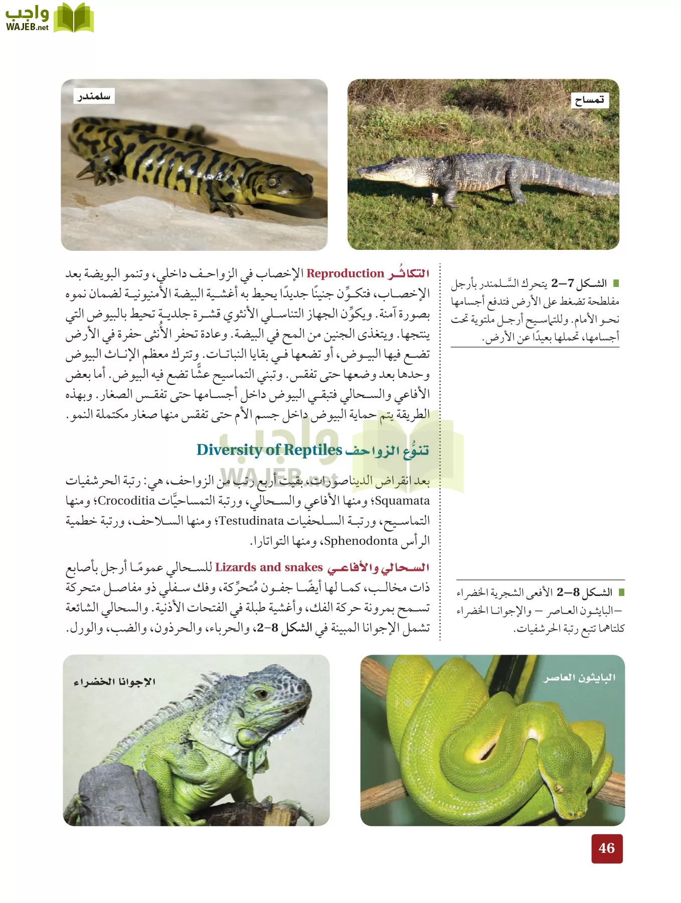 أحياء 2 مقررات page-45