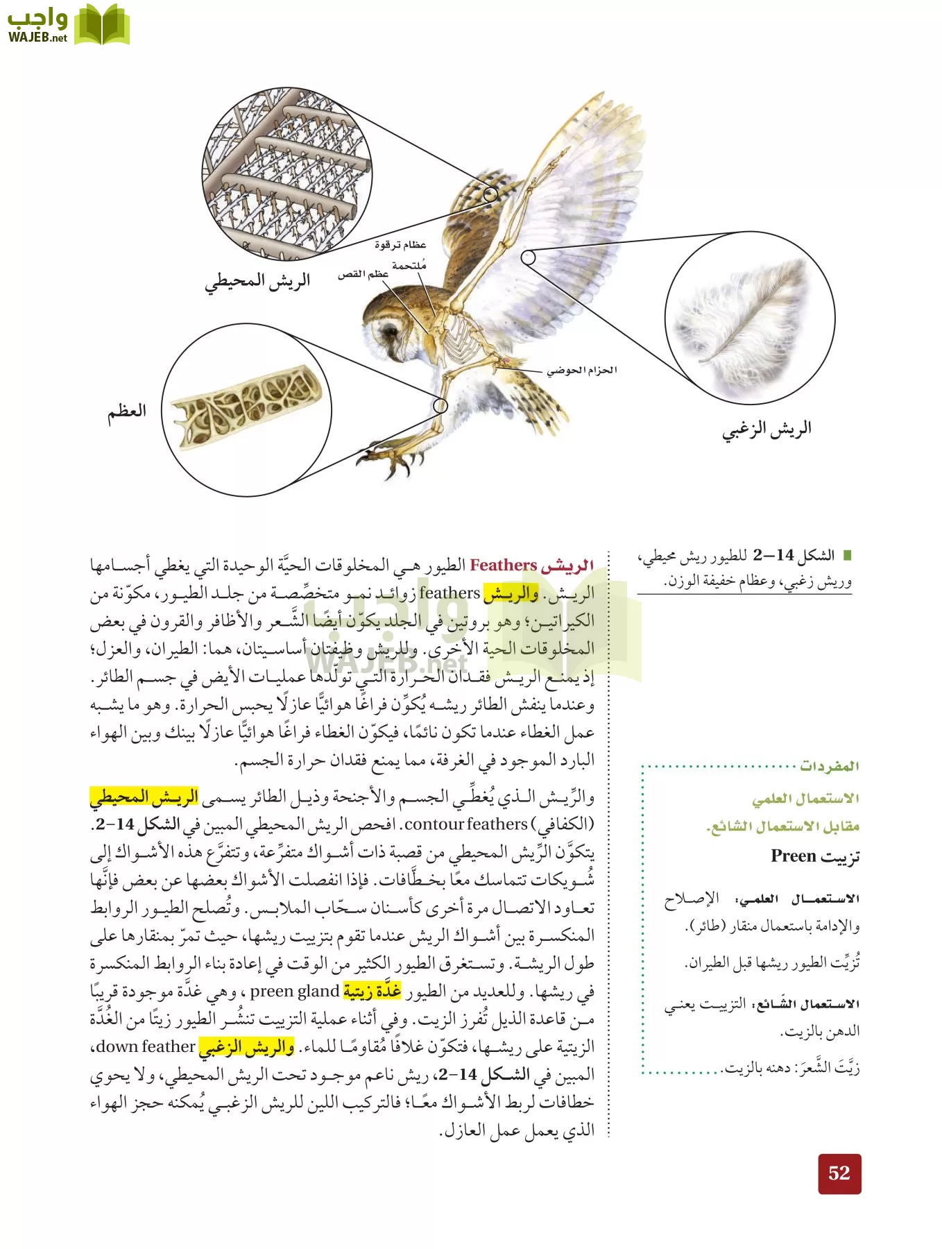 أحياء 2 مقررات page-51
