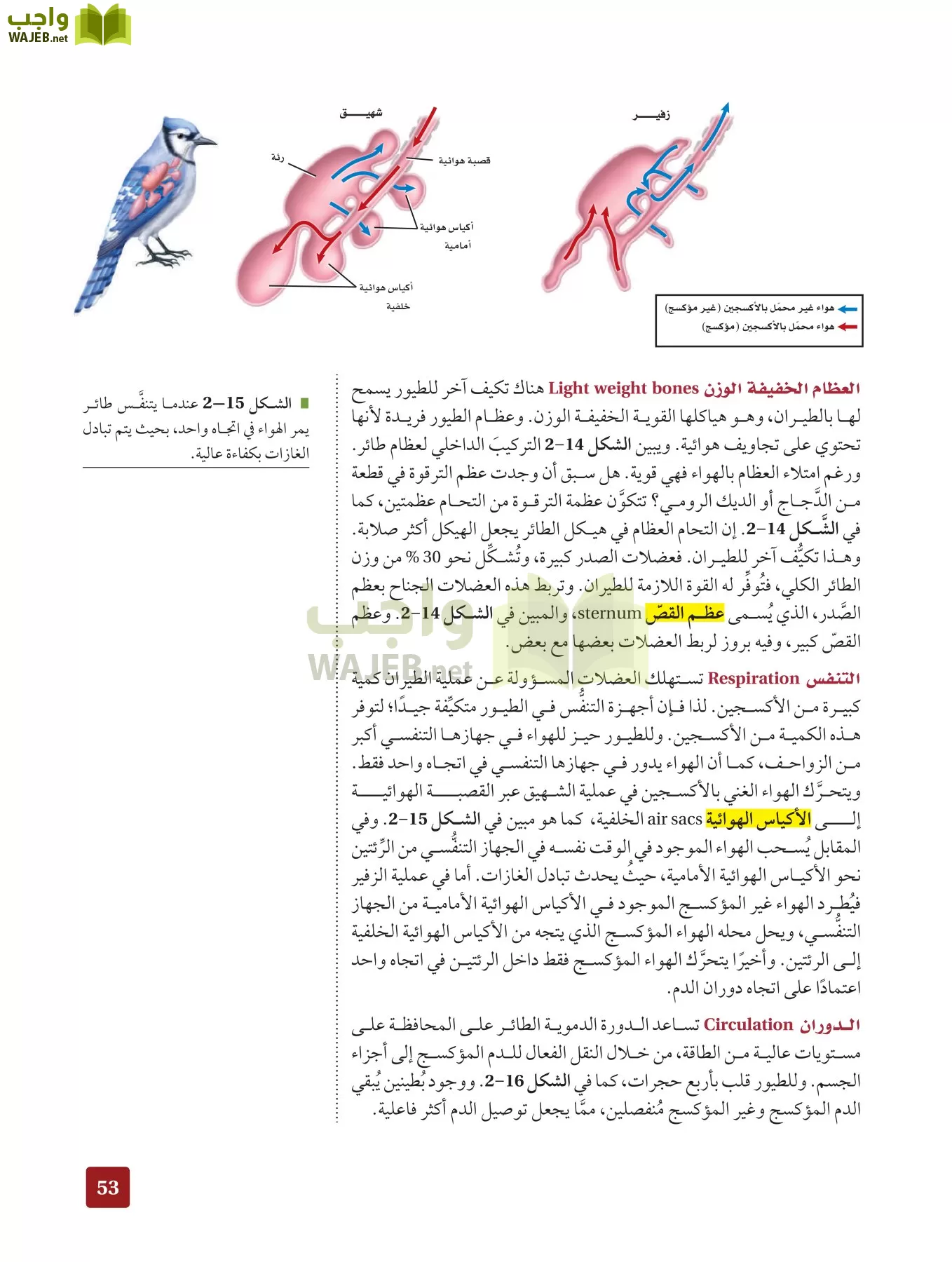 أحياء 2 مقررات page-52