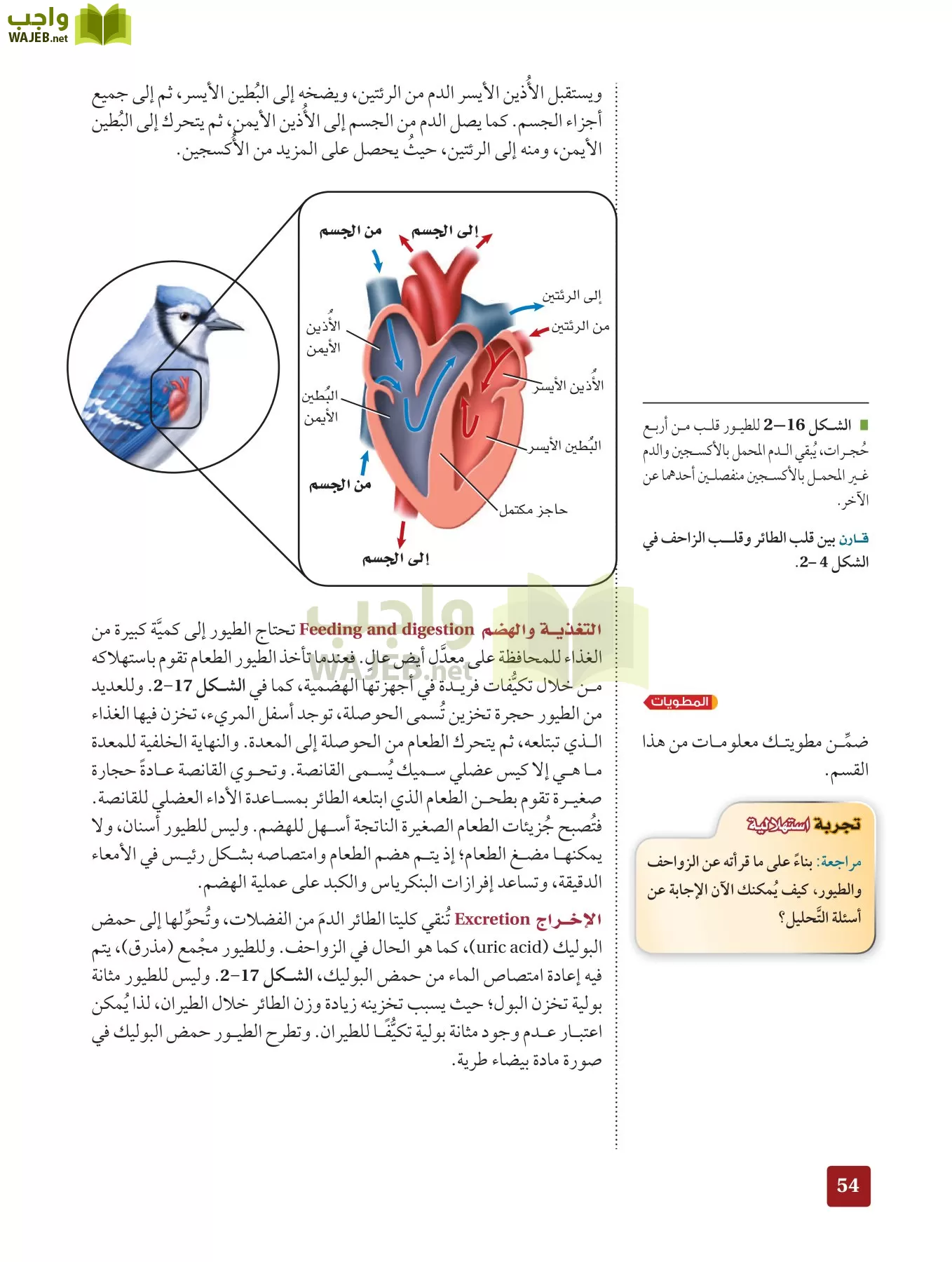 أحياء 2 مقررات page-53