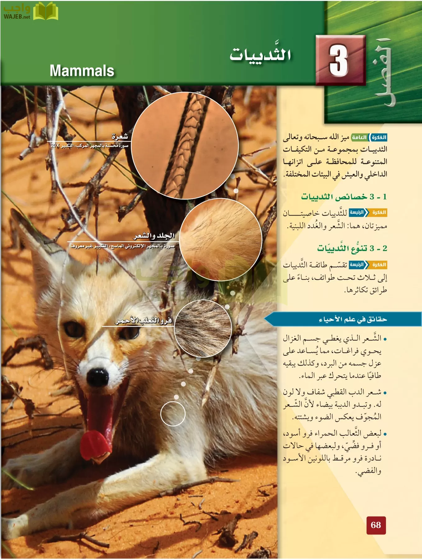 أحياء 2 مقررات page-67