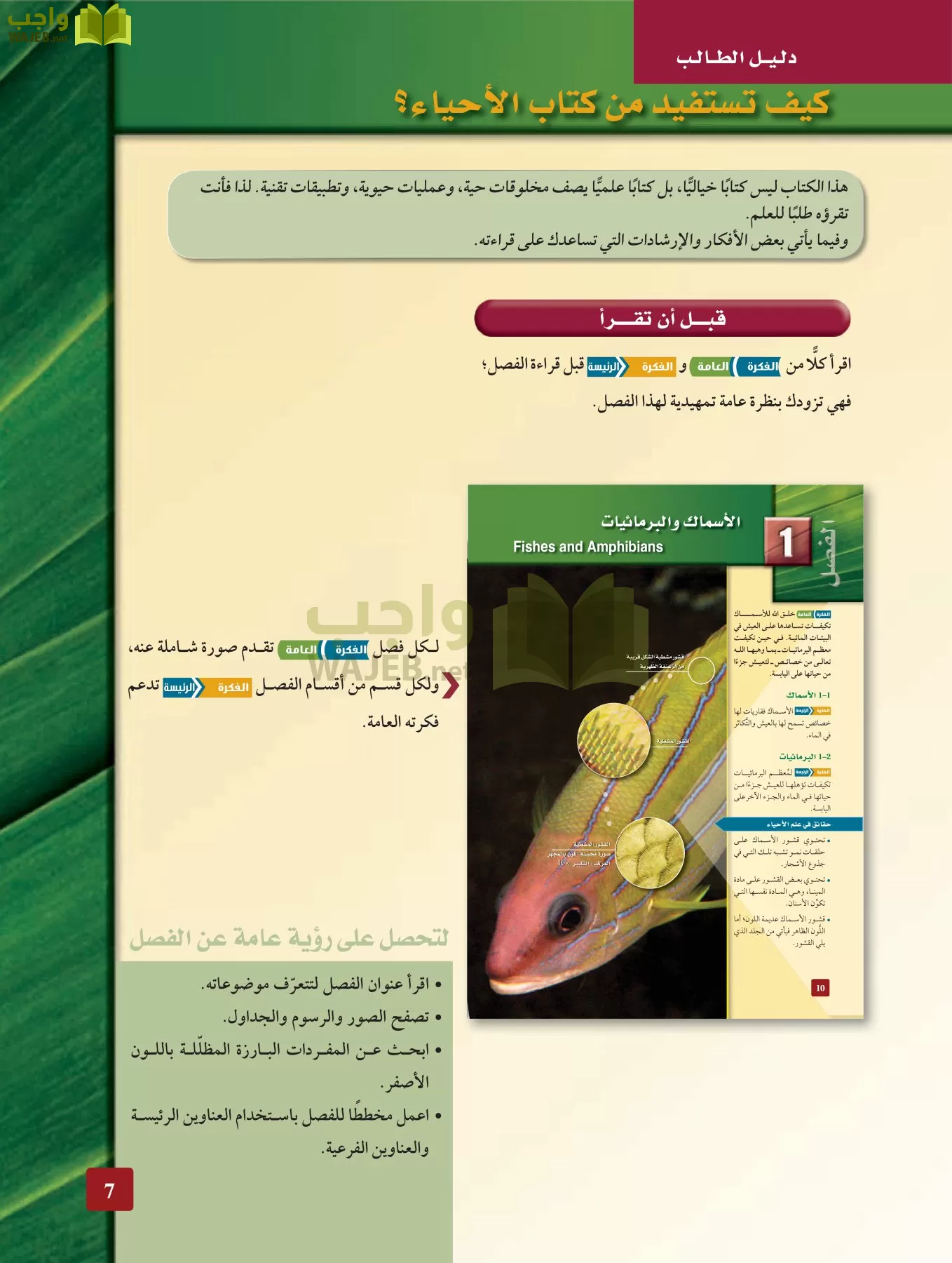 أحياء 2 مقررات page-6