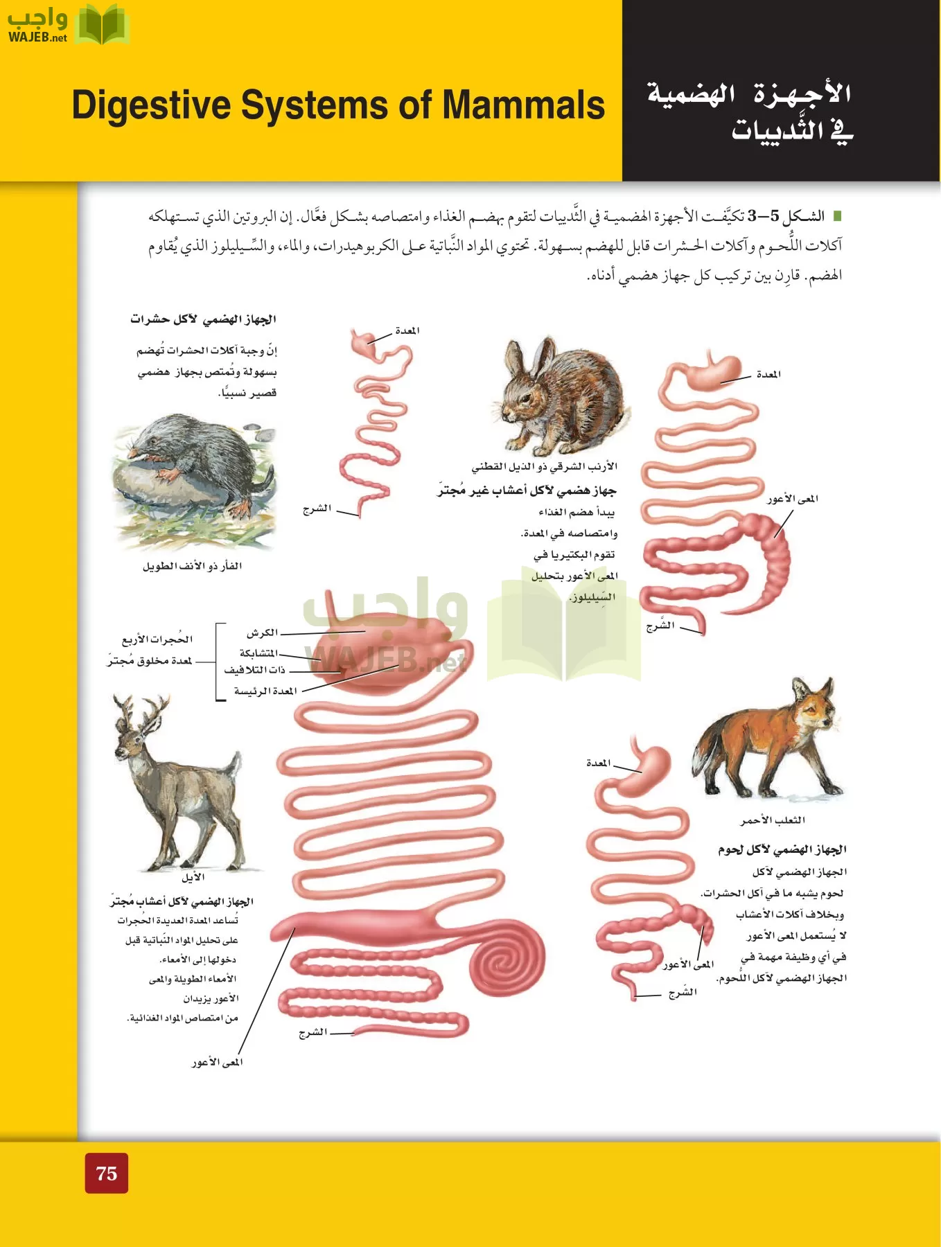 أحياء 2 مقررات page-74