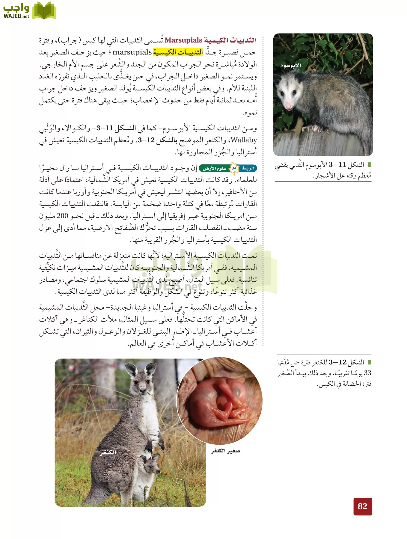أحياء 2 مقررات page-81