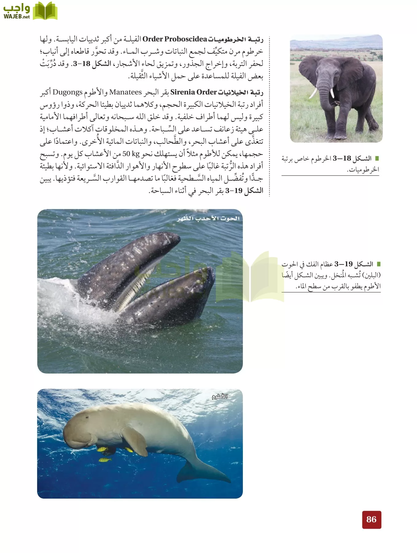 أحياء 2 مقررات page-85