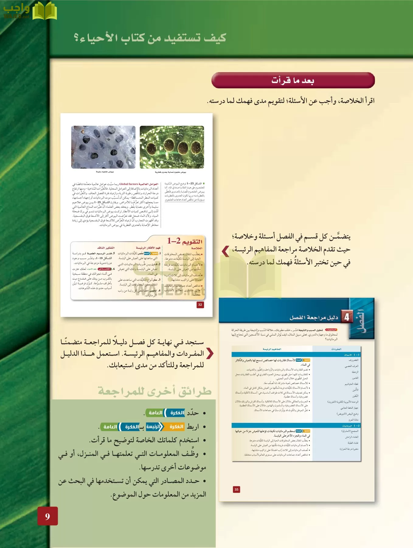 أحياء 2 مقررات page-8