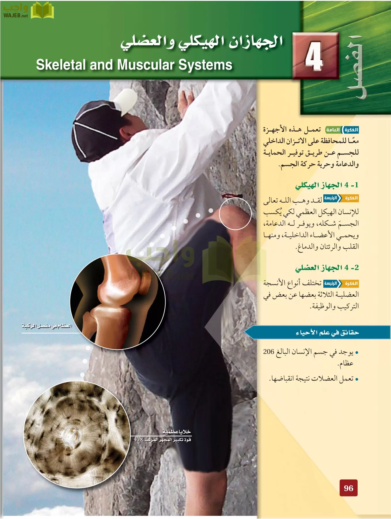 أحياء 2 مقررات page-95