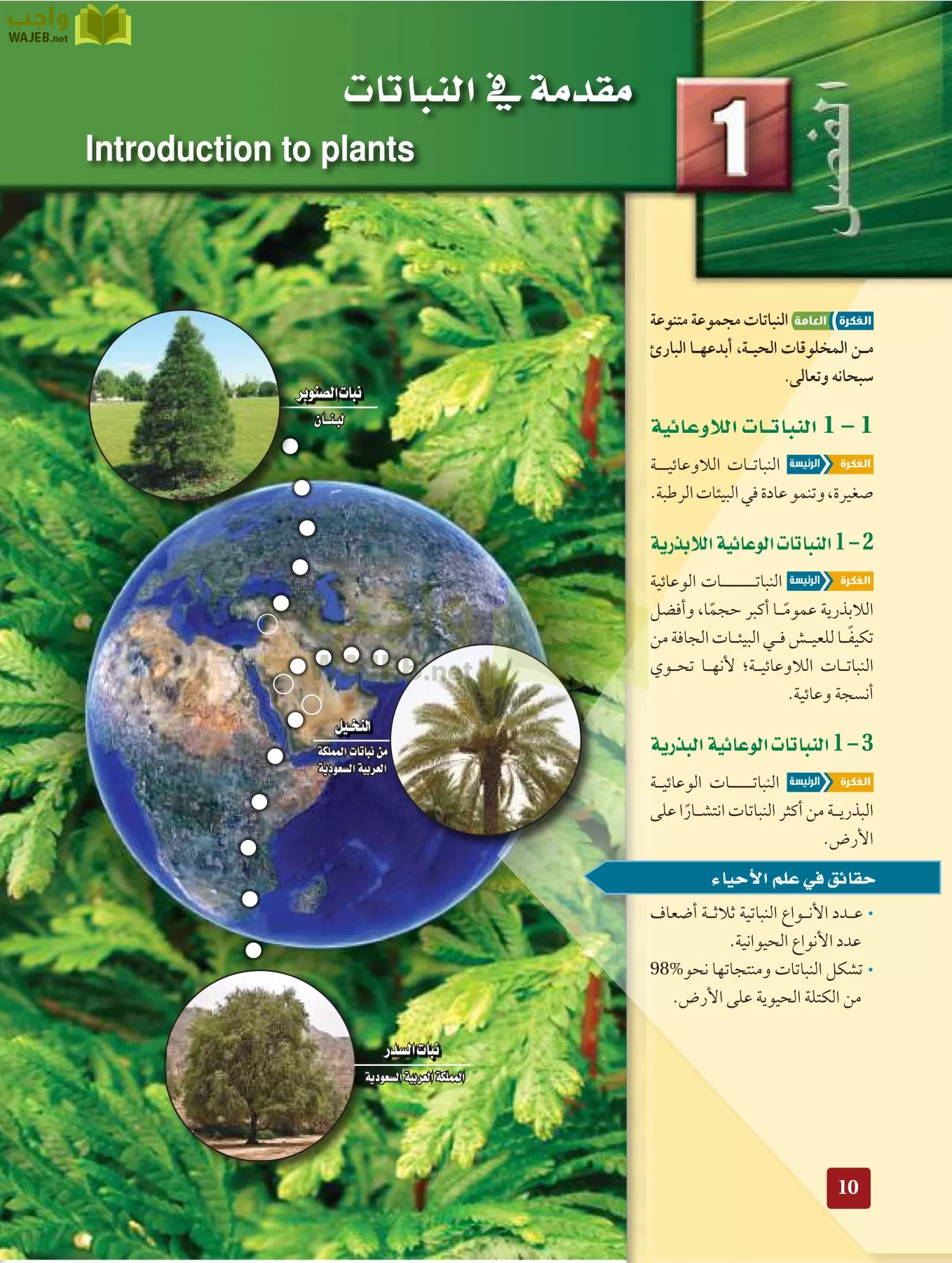 أحياء 3 مقررات page-9