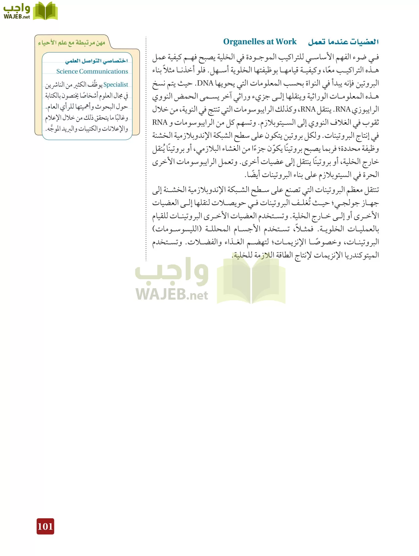 أحياء 3 مقررات page-100