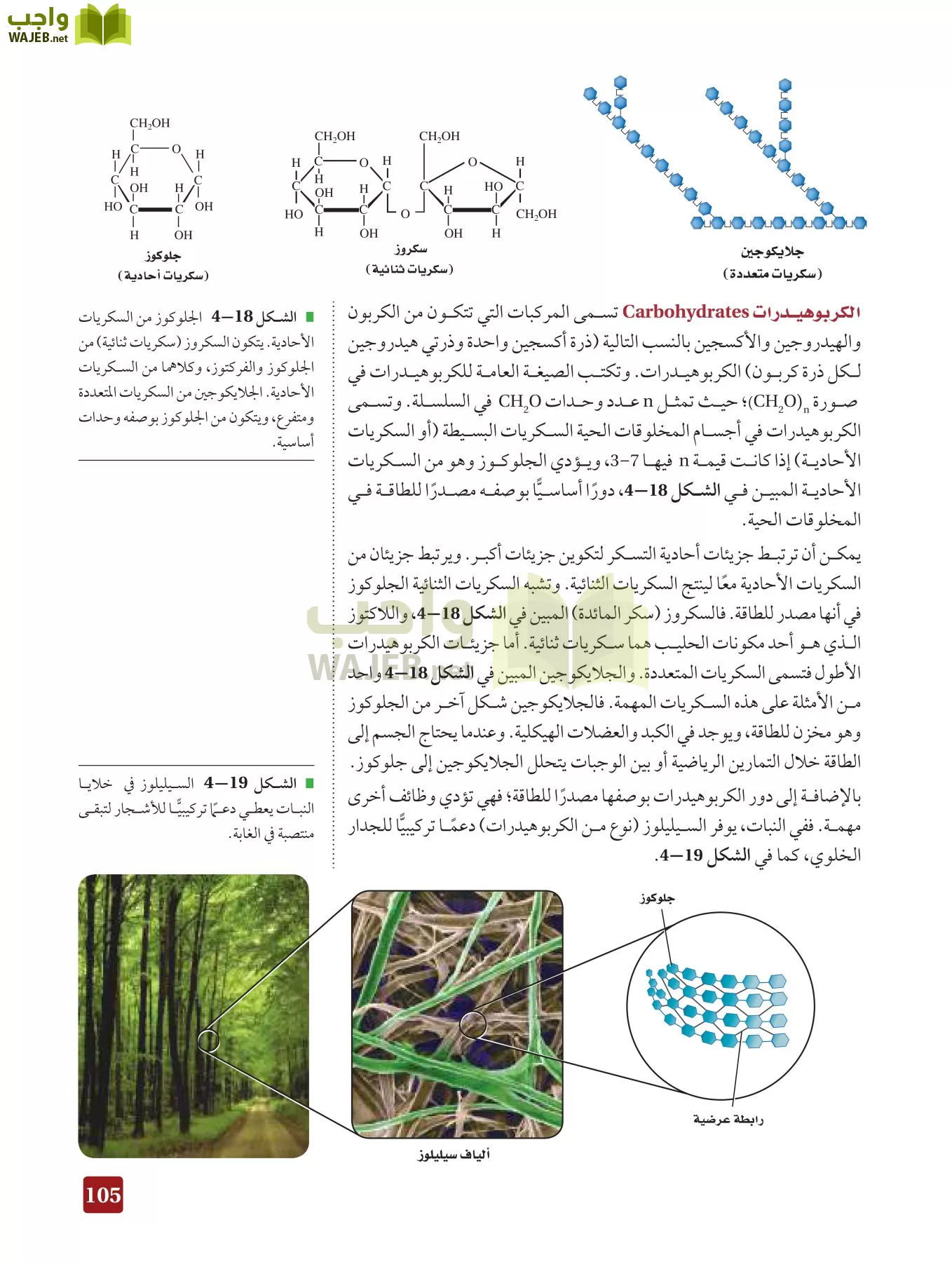 أحياء 3 مقررات page-104