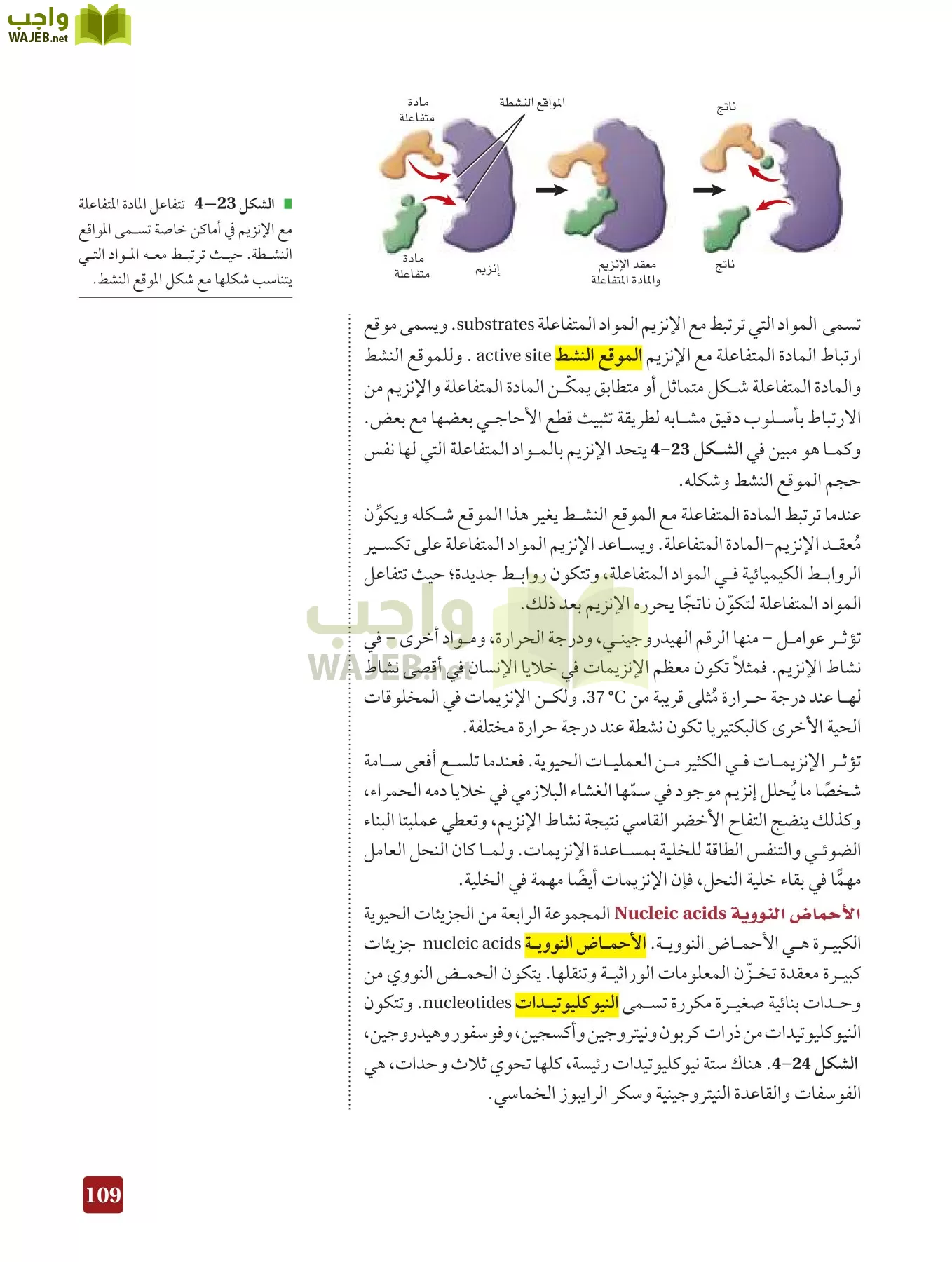 أحياء 3 مقررات page-108