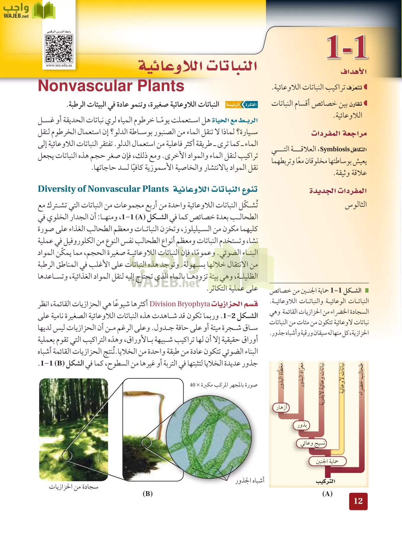 أحياء 3 مقررات page-11