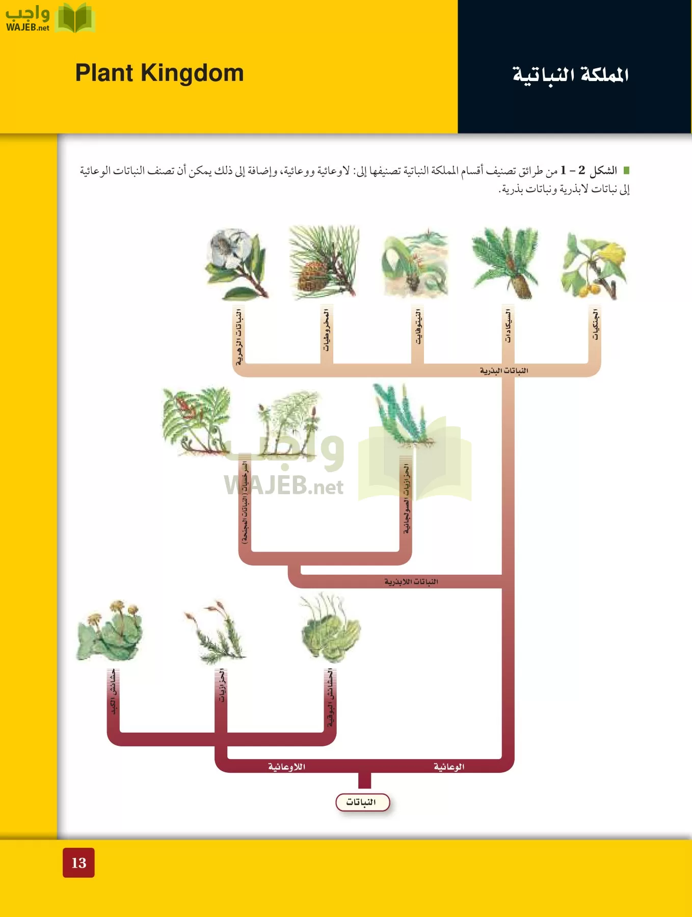 أحياء 3 مقررات page-12