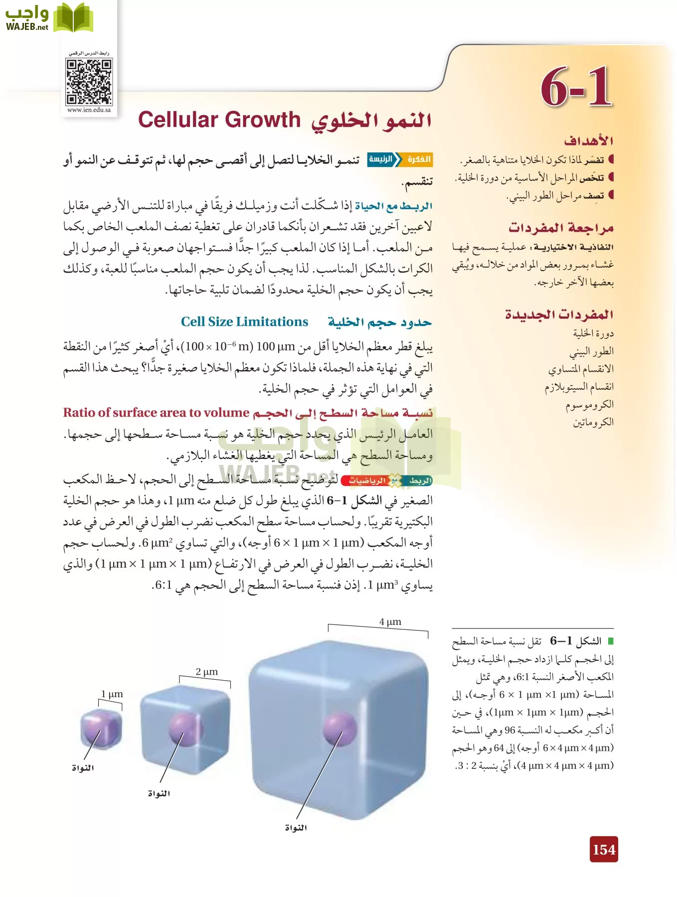 أحياء 3 مقررات page-153