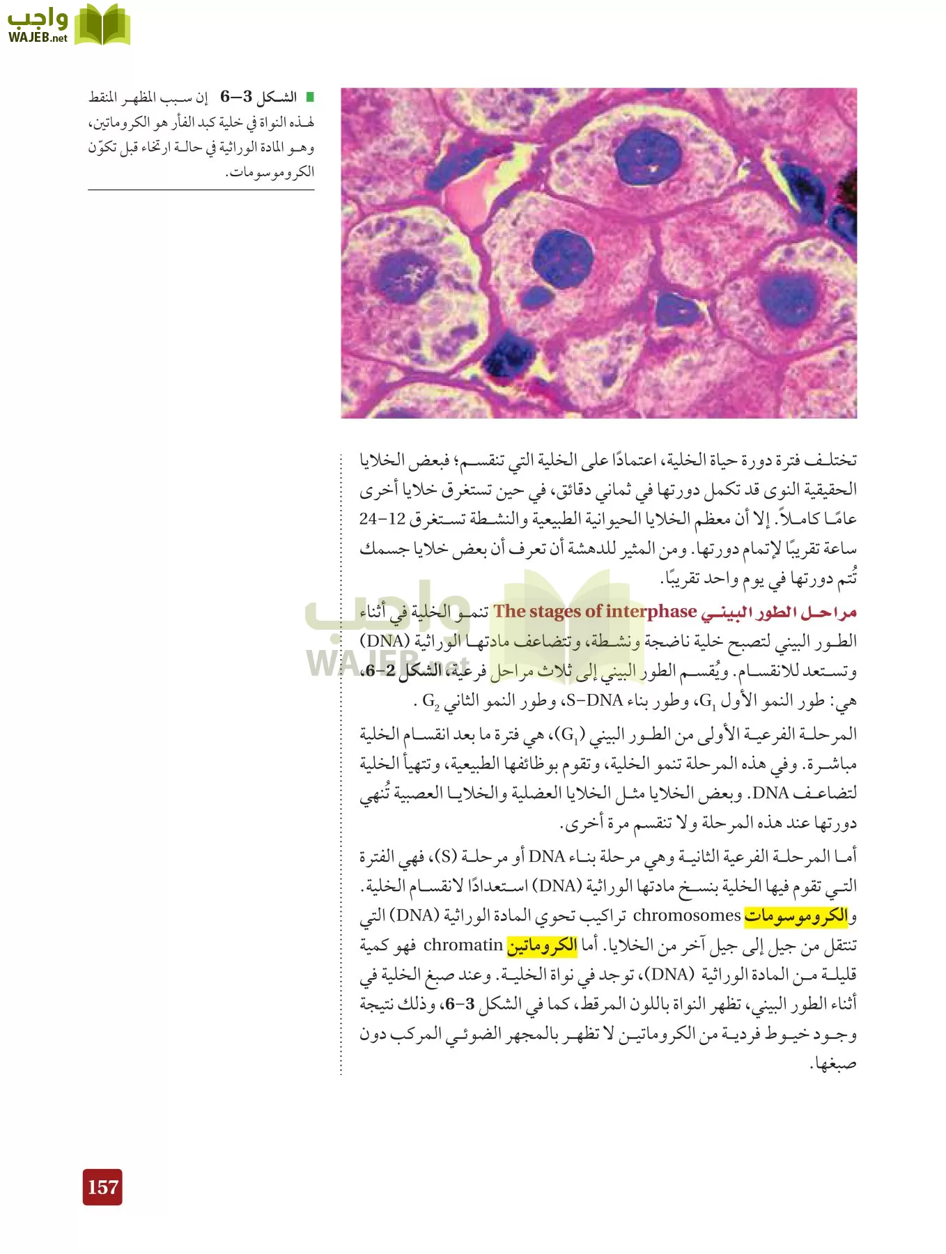 أحياء 3 مقررات page-156
