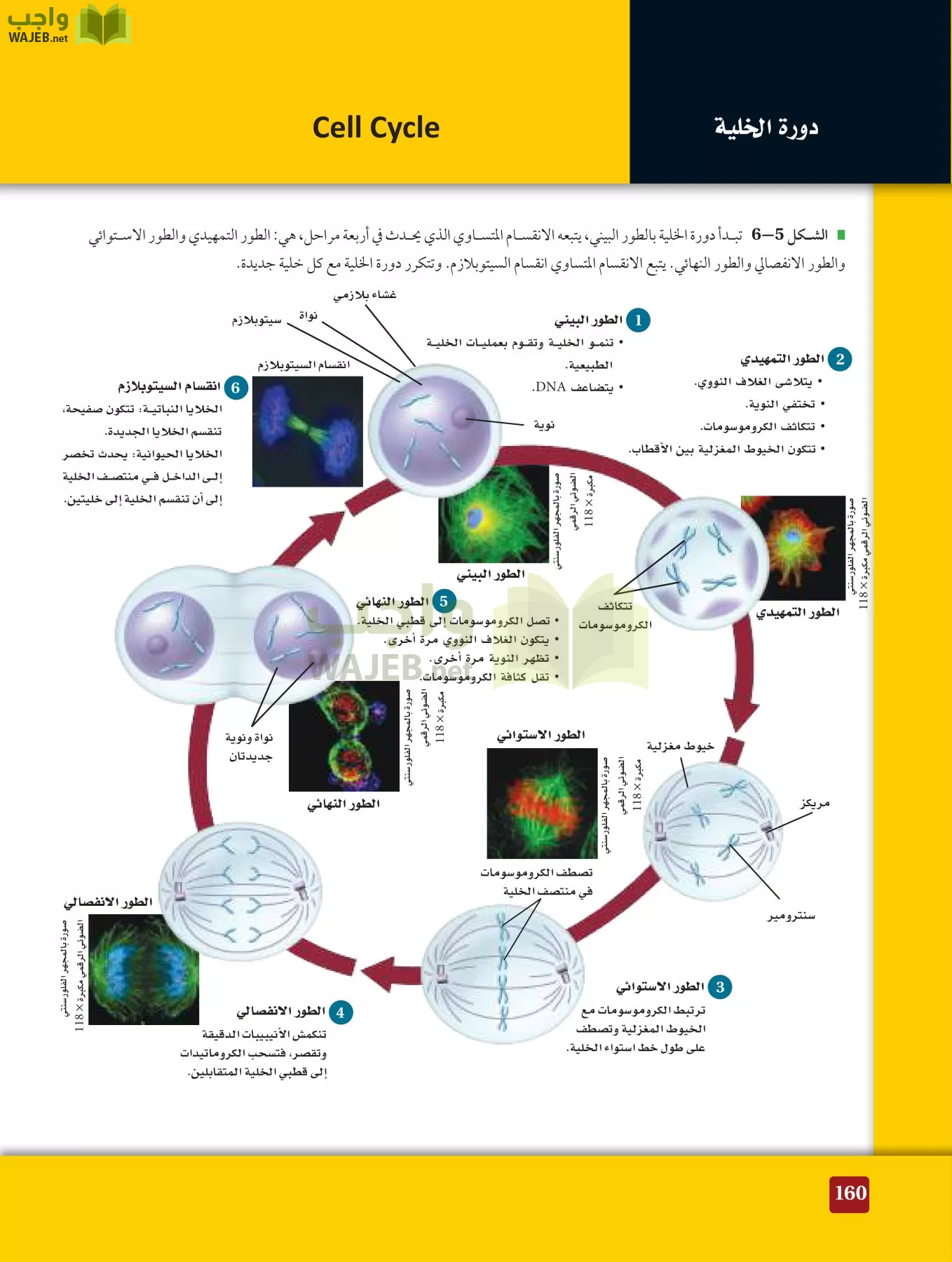 أحياء 3 مقررات page-159