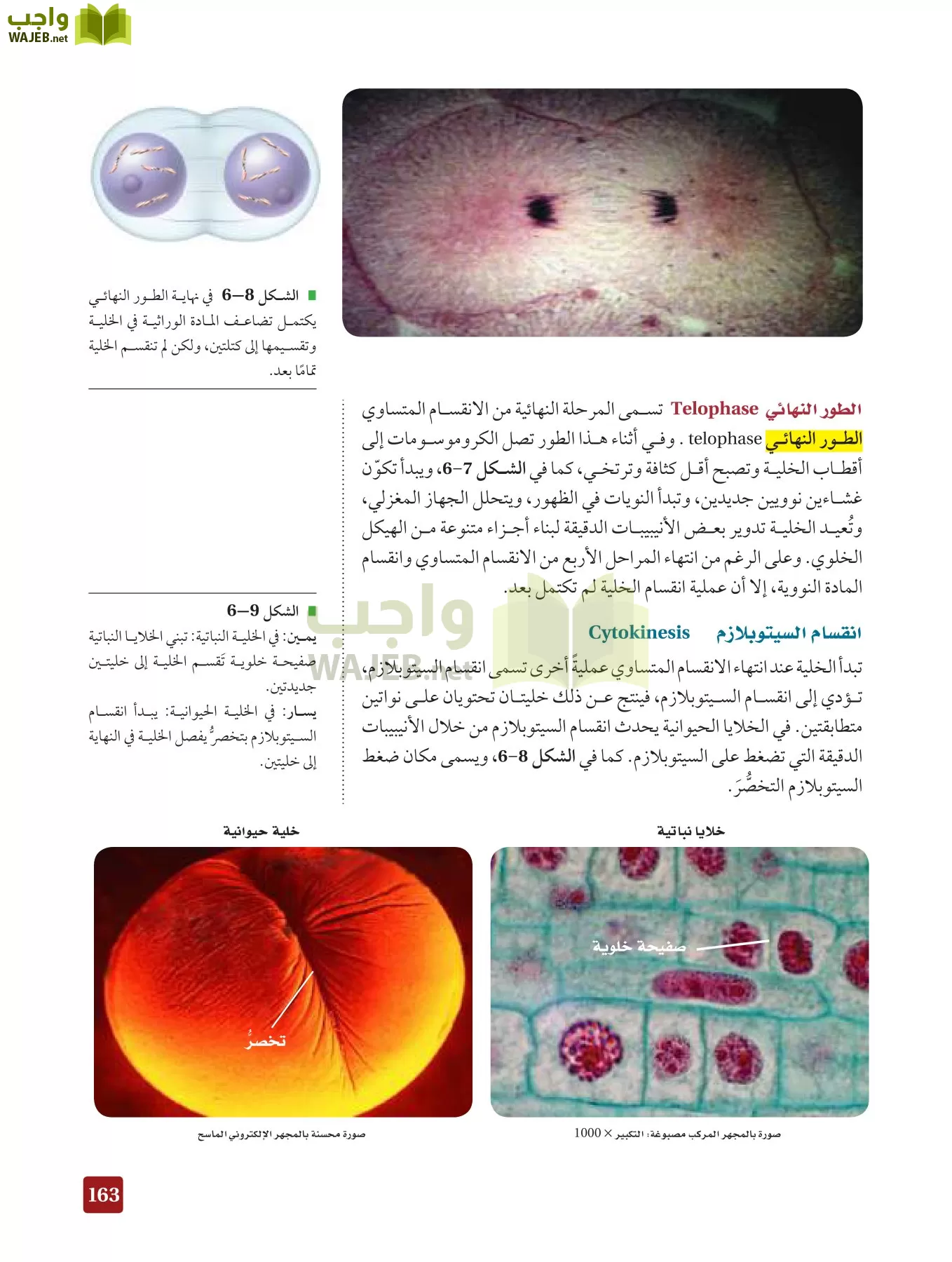 أحياء 3 مقررات page-162