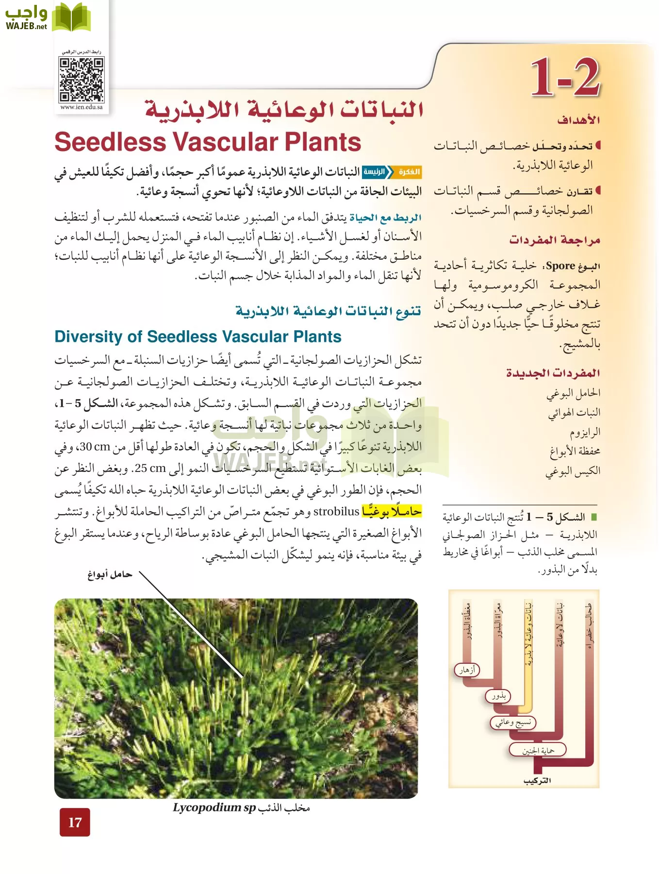 أحياء 3 مقررات page-16