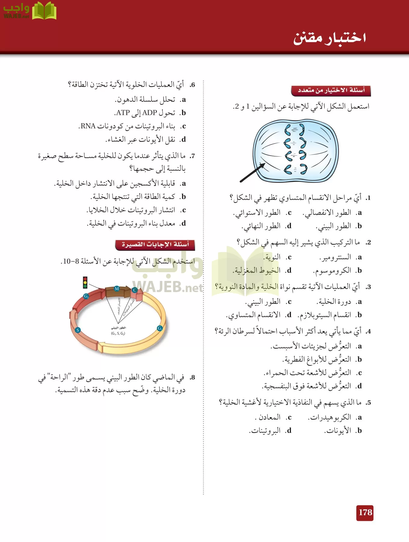 حل أحياء 3 مقررات صفحة 176 - واجب