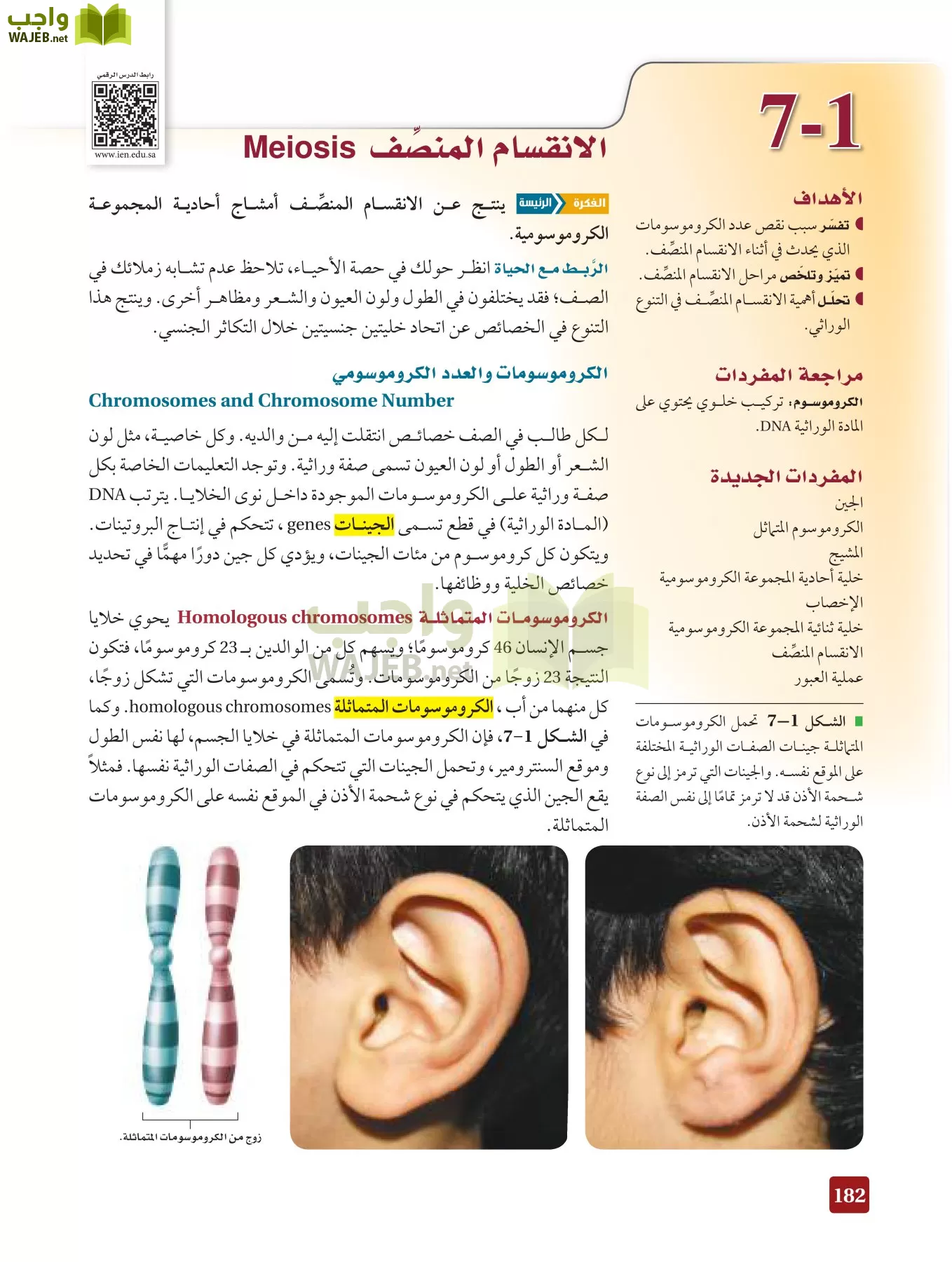 أحياء 3 مقررات page-181